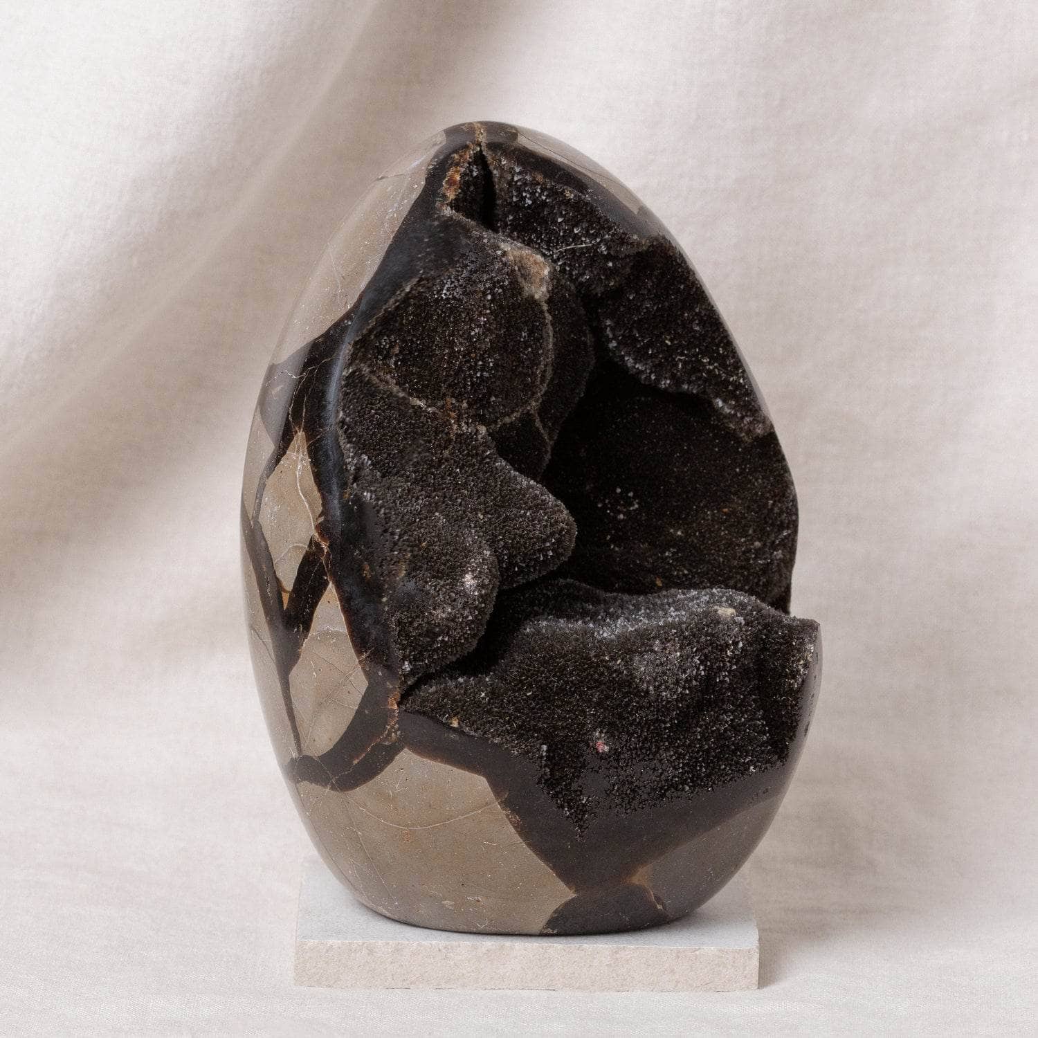 Rare Black Septarian Freeform Crystal、mySite、hinf8tx79