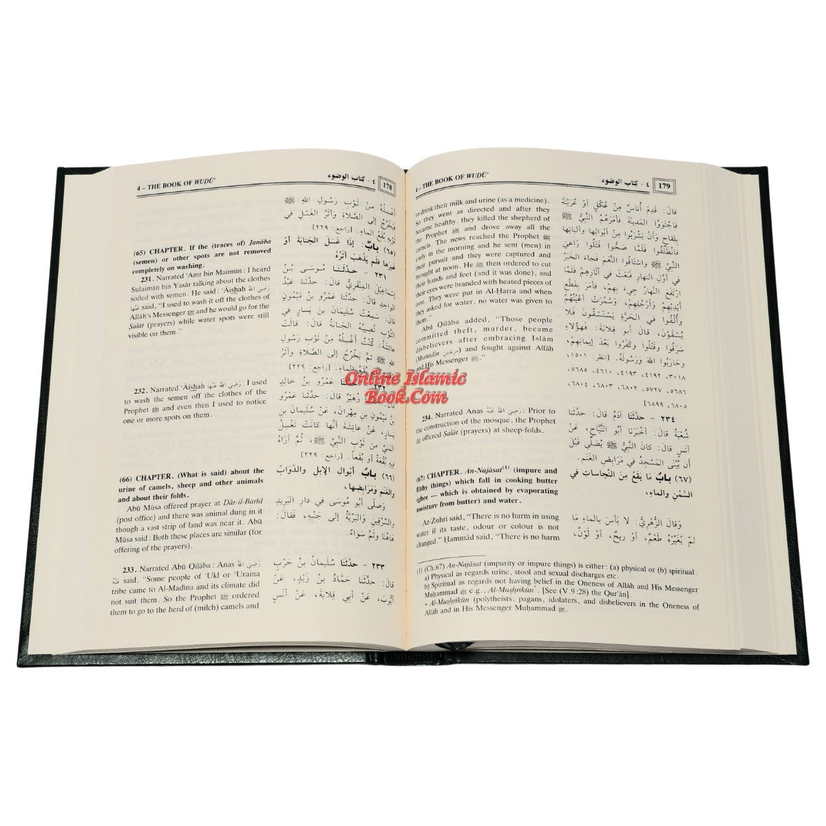 Sahih Al-Bukhari (9 Vol. Set) By Dr. Muhammad Muhsin Khan、mySite、topwebapps