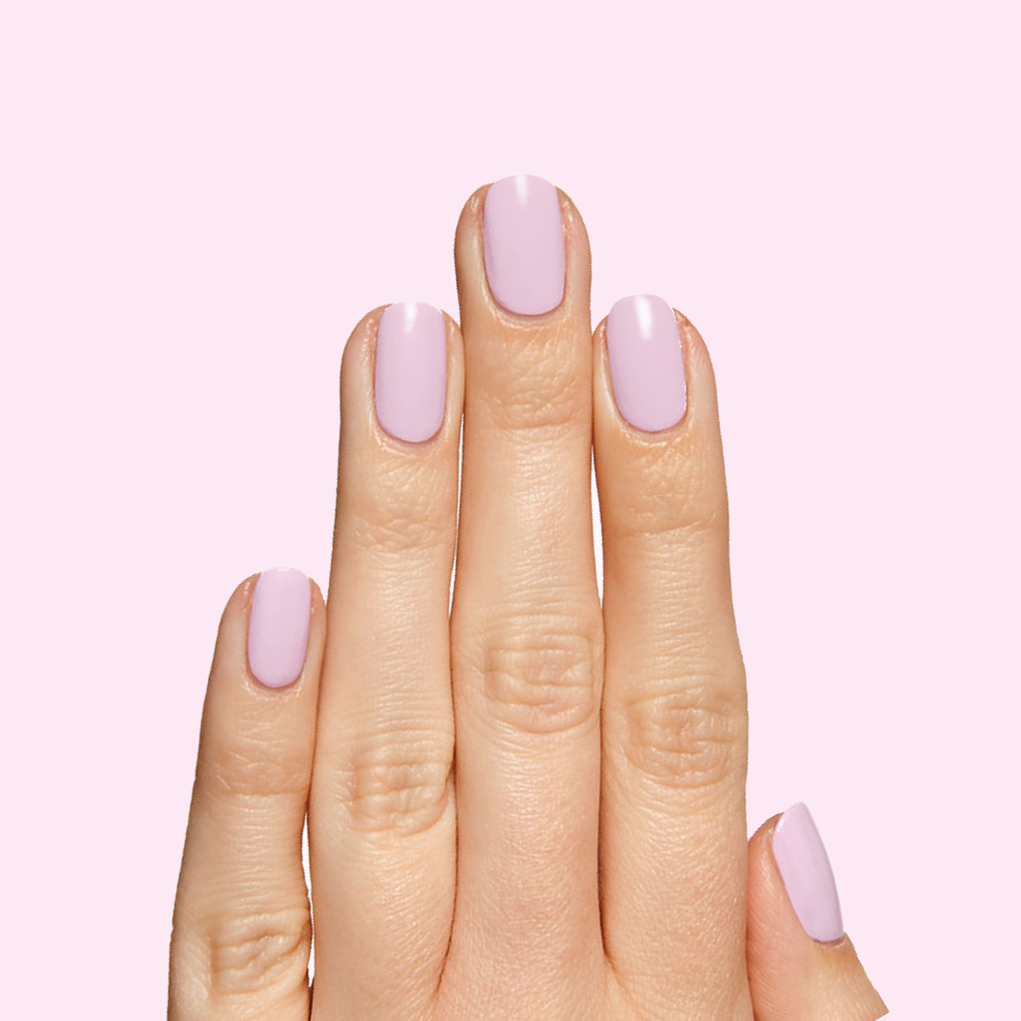 Cockatoo、mySite、solidvoid