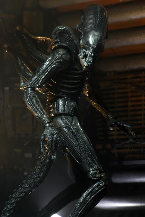 NECA Alien 40th Anniversary Ultimate Big Chap (Re-Issue)、mySite、hgirdovlk