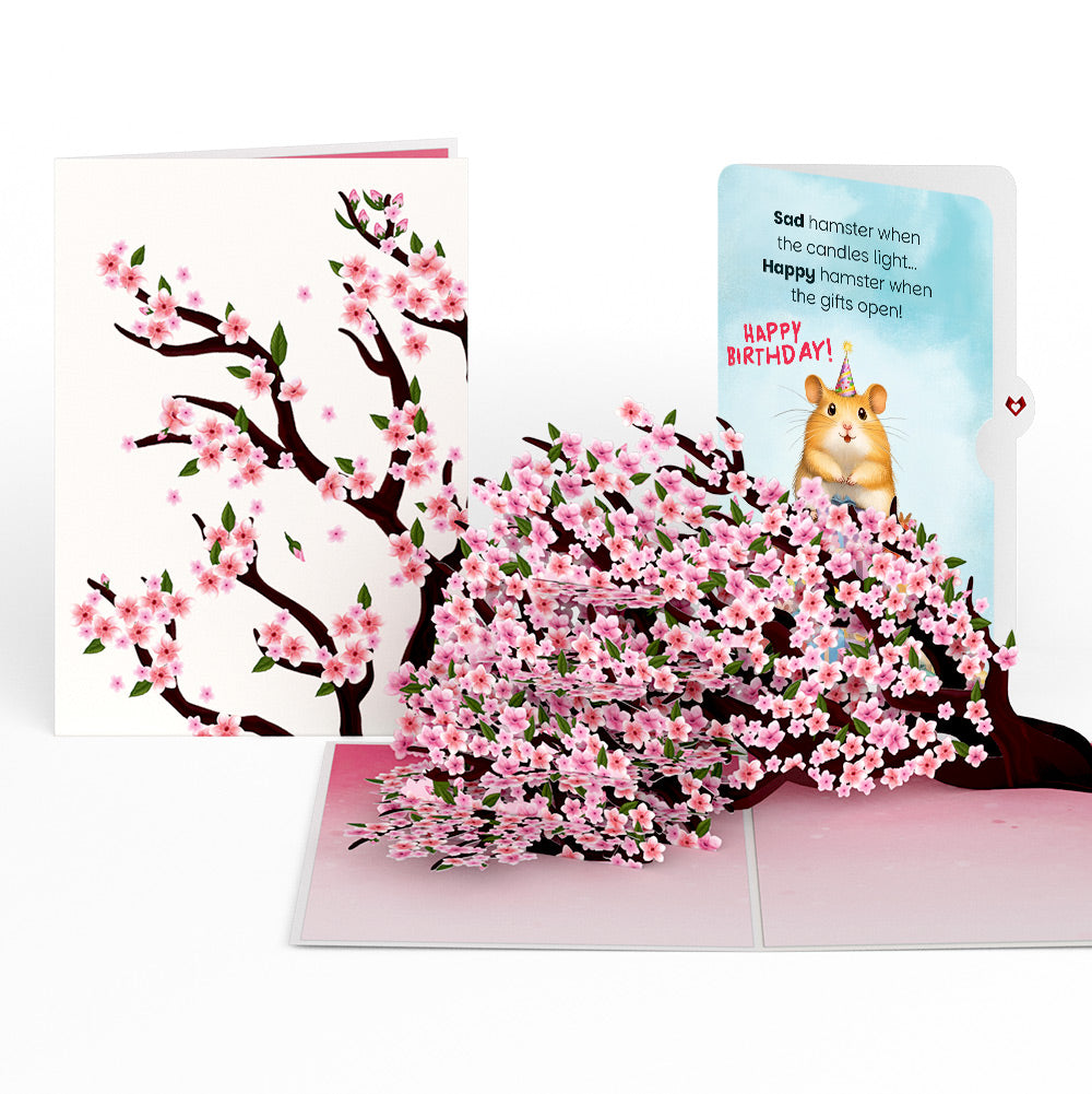 Cherry Blossom Branches in Bloom Birthday Pop-Up Card and Happy Hamster Sentiment Set、mySite、solidvoid