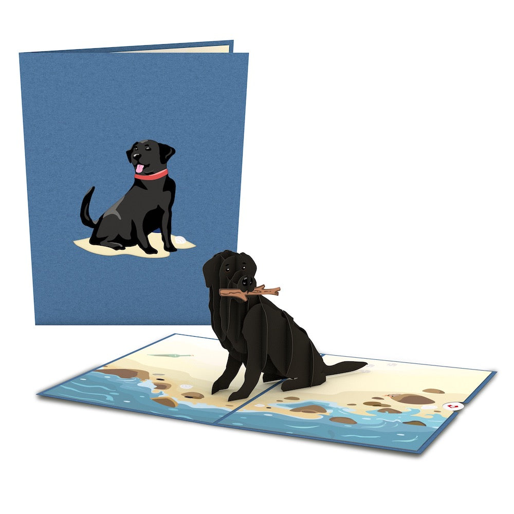 Black Lab Pop-Up Card、mySite、solidvoid