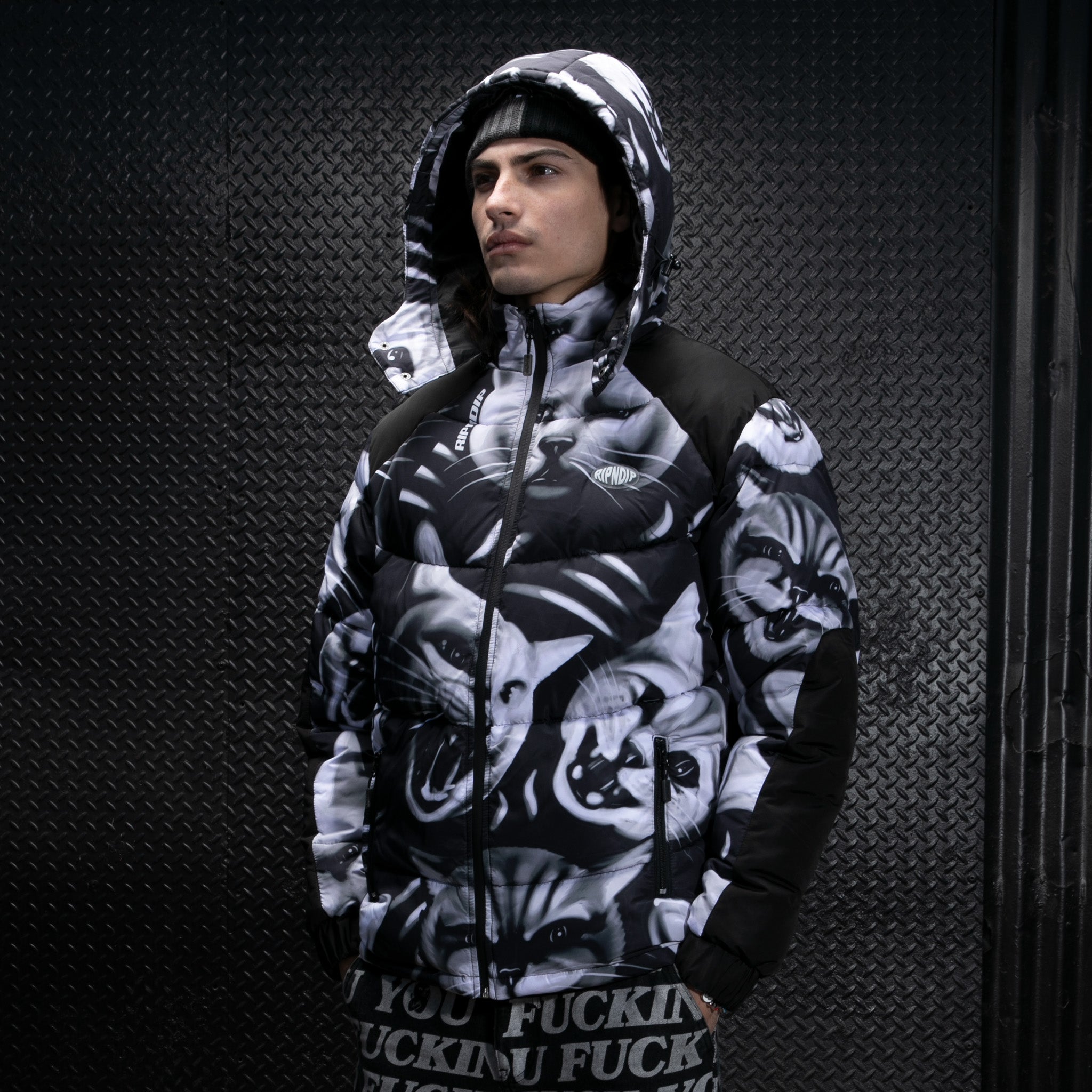  Neon Cat Puffer Jacket (Black)、mySite、merchandisen