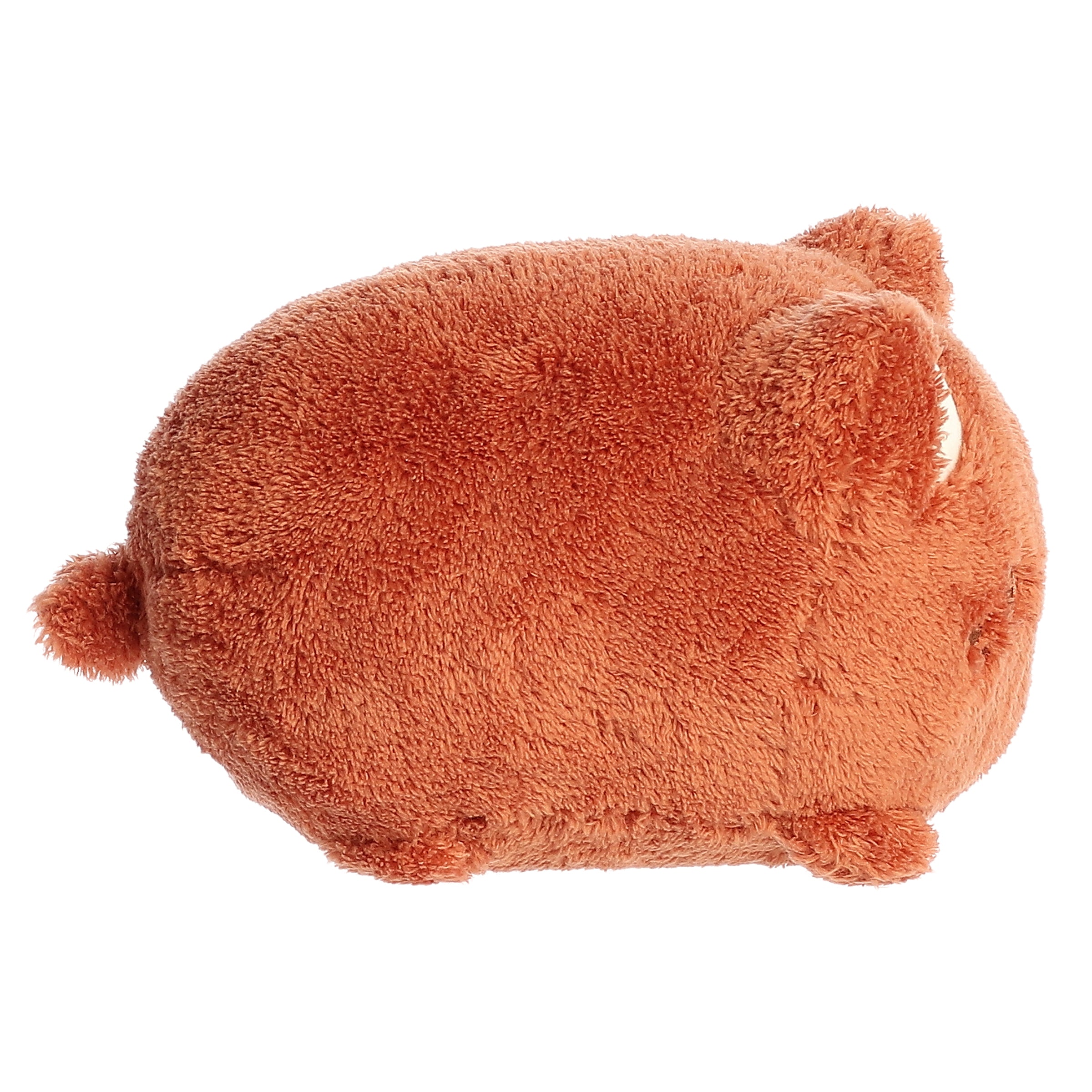 Aurora® - Tasty Peach® - 7 Coconut Meowchi、mySite、g9winljtr