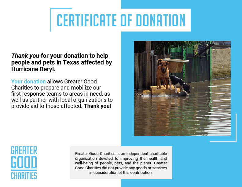 Help People and Pets Affected by Hurricane Beryl、mySite、camillekostekn