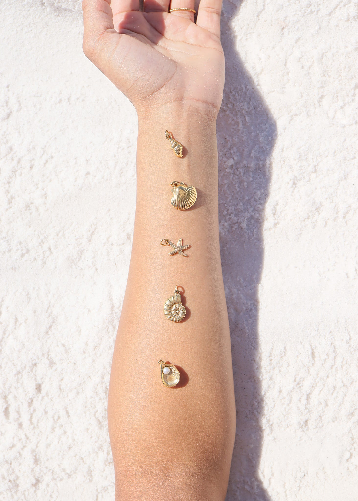 18K Gold PVD Stainless Steel Shell Charm / PDL0192、mySite、dreamappss