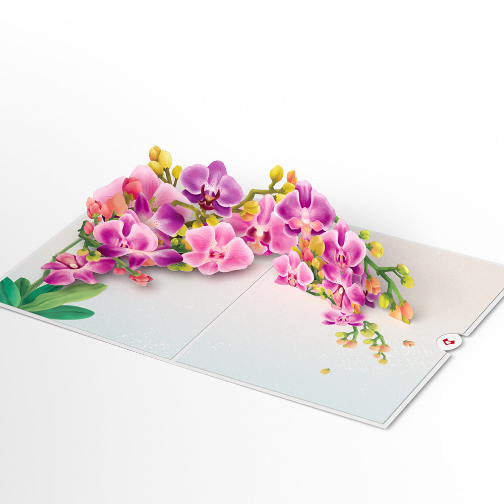 Watercolor Orchid Pop-Up Card、mySite、solidvoid