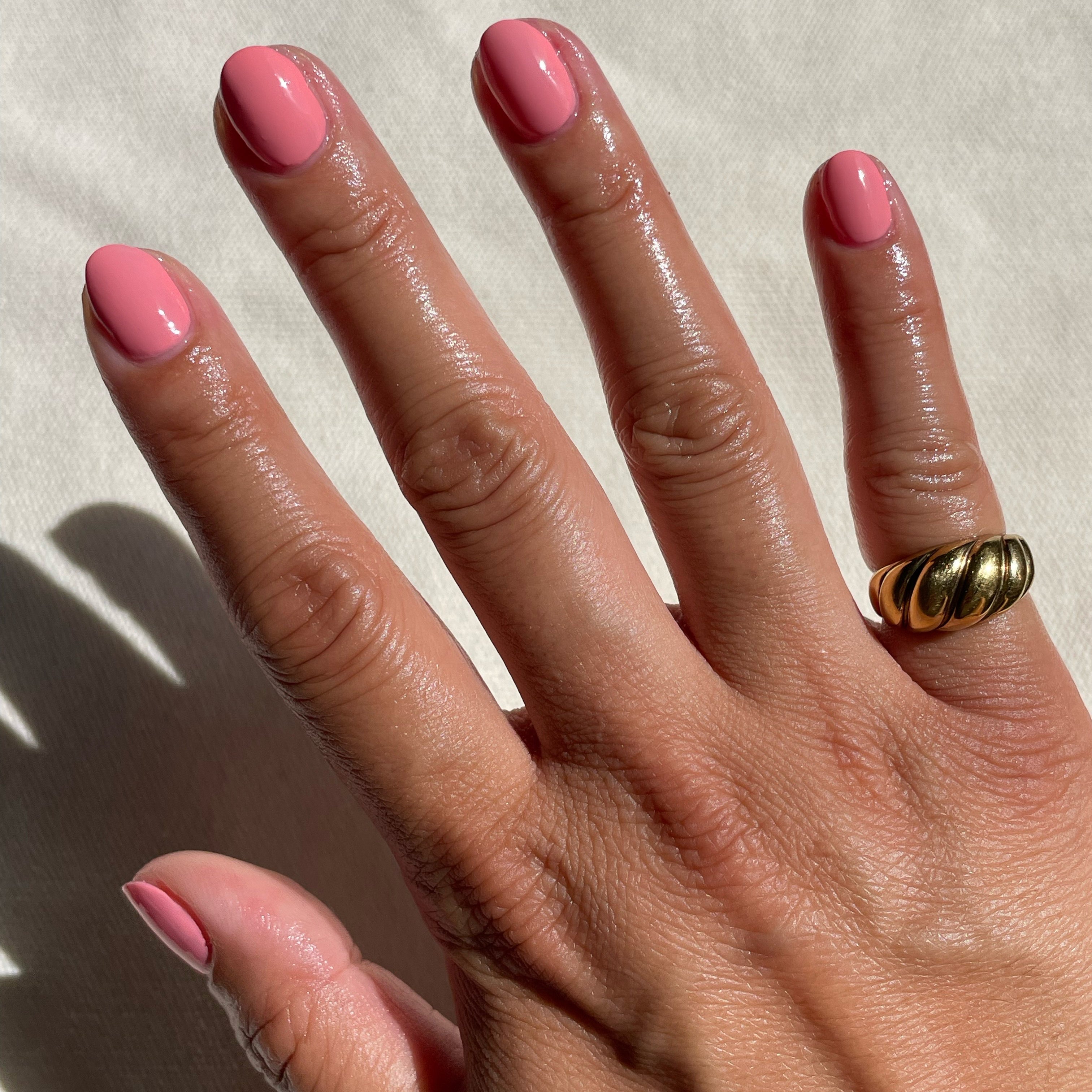 Pen Pal、mySite、solidvoid