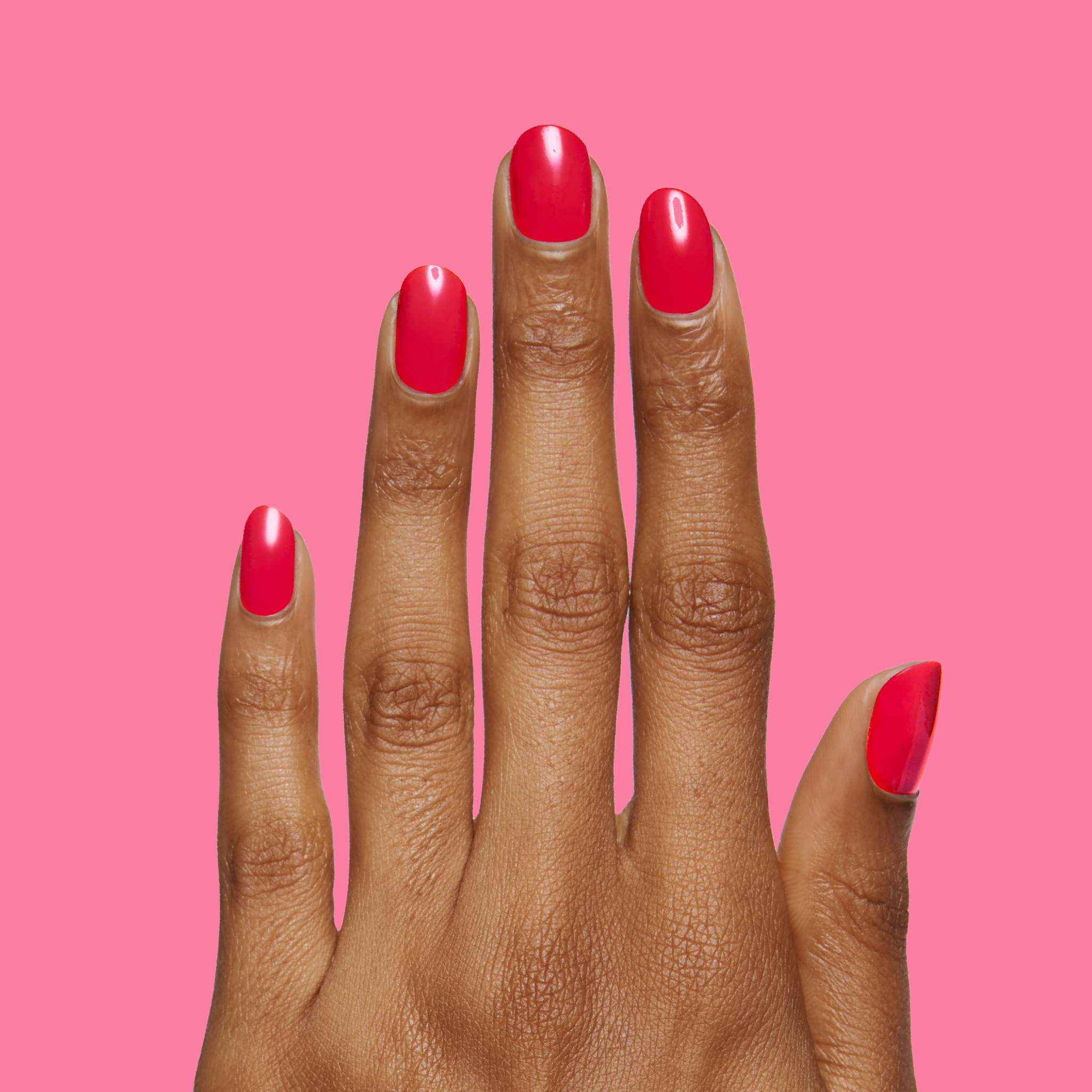 Hibiscus、mySite、solidvoid