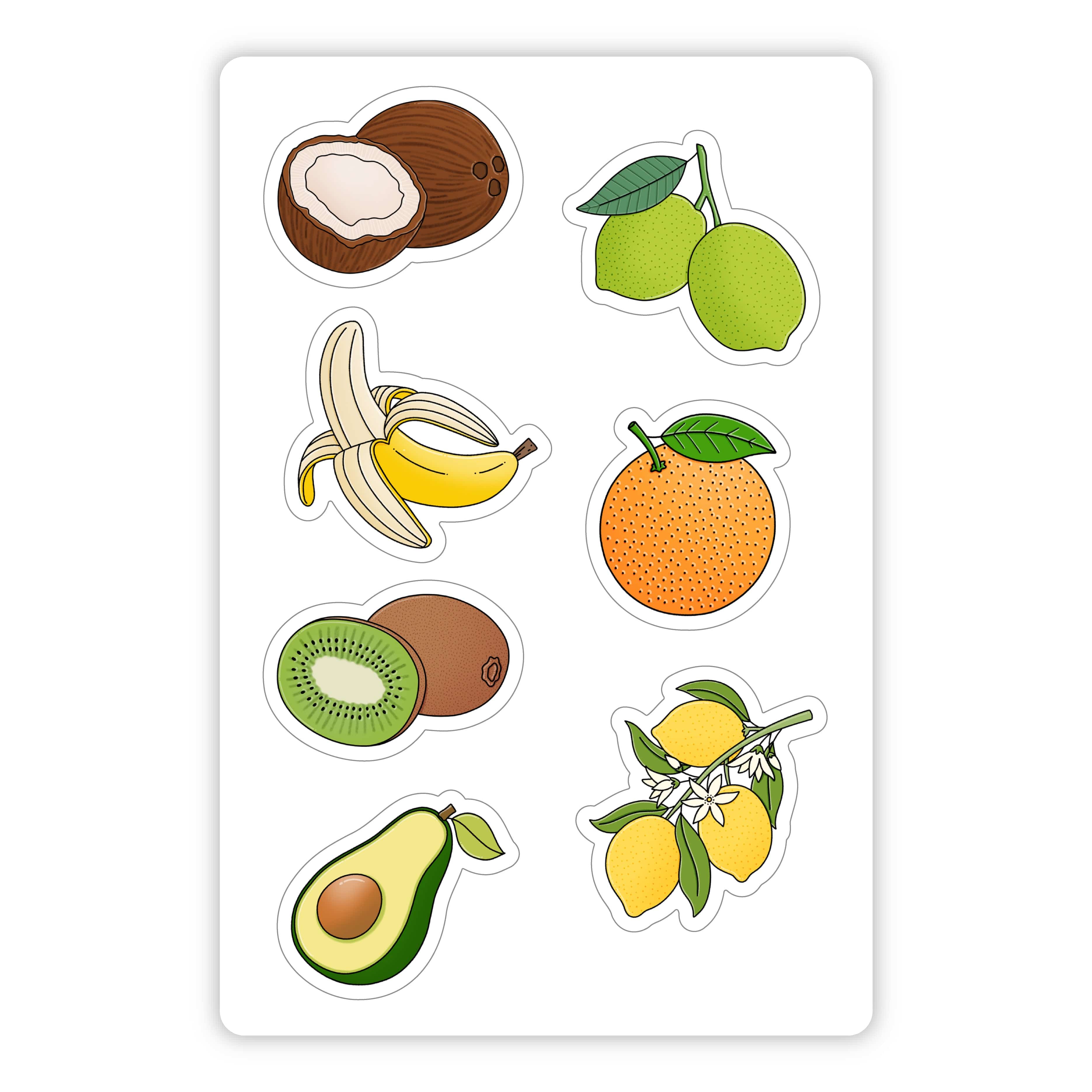 Avocado & More Fruits Mini Sticker Sheet、mySite、elrpsem3k