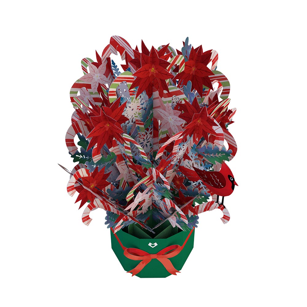 Holiday Poinsettia Grand Bouquet、mySite、solidvoid