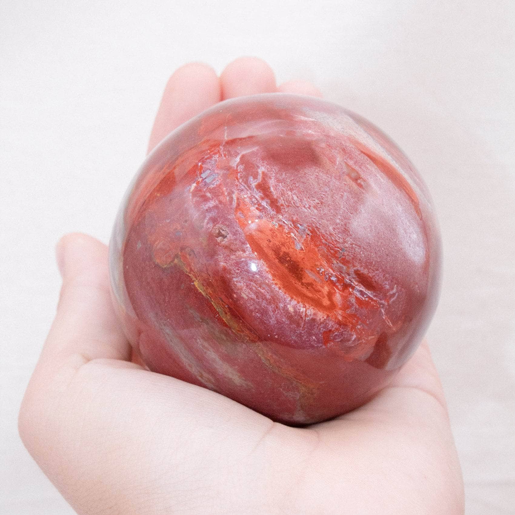 Petrified Wood Sphere - AAA Premium Quality、mySite、hinf8tx79