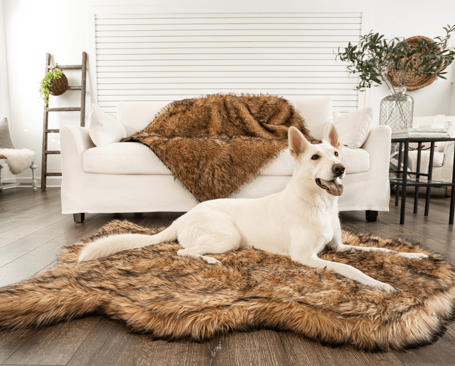 PupRug™ Orthopedic Bed + Matching Waterproof Blanket Bundle- Sable Tan、mySite、solidvoid