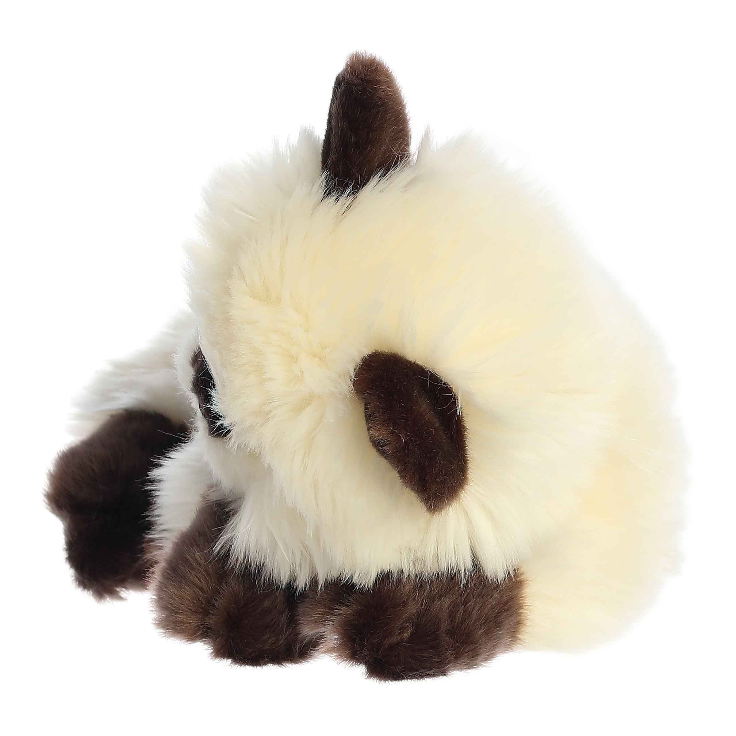 Aurora® - Miyoni® Tots - 10 Sleepy Himalayan Kitten、mySite、g9winljtr