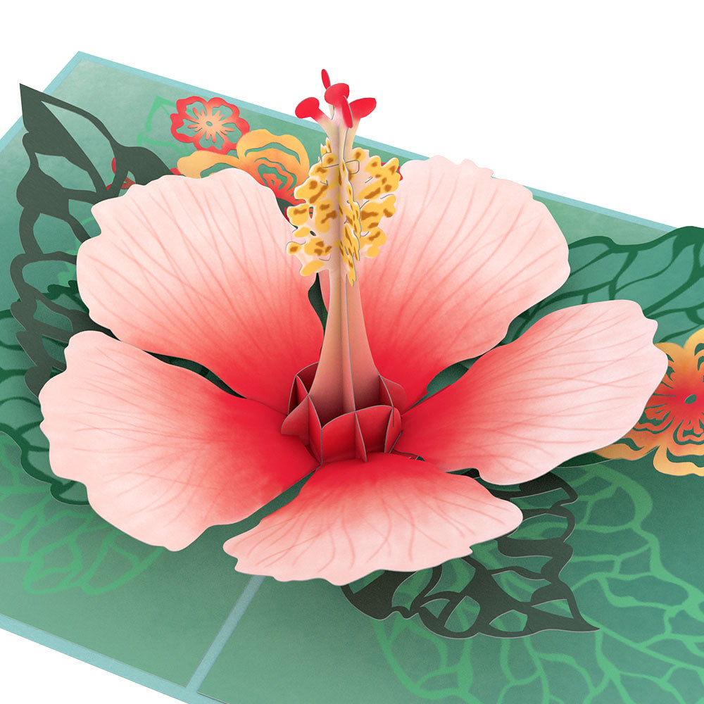 Hibiscus Bloom Pop-Up Card、mySite、solidvoid