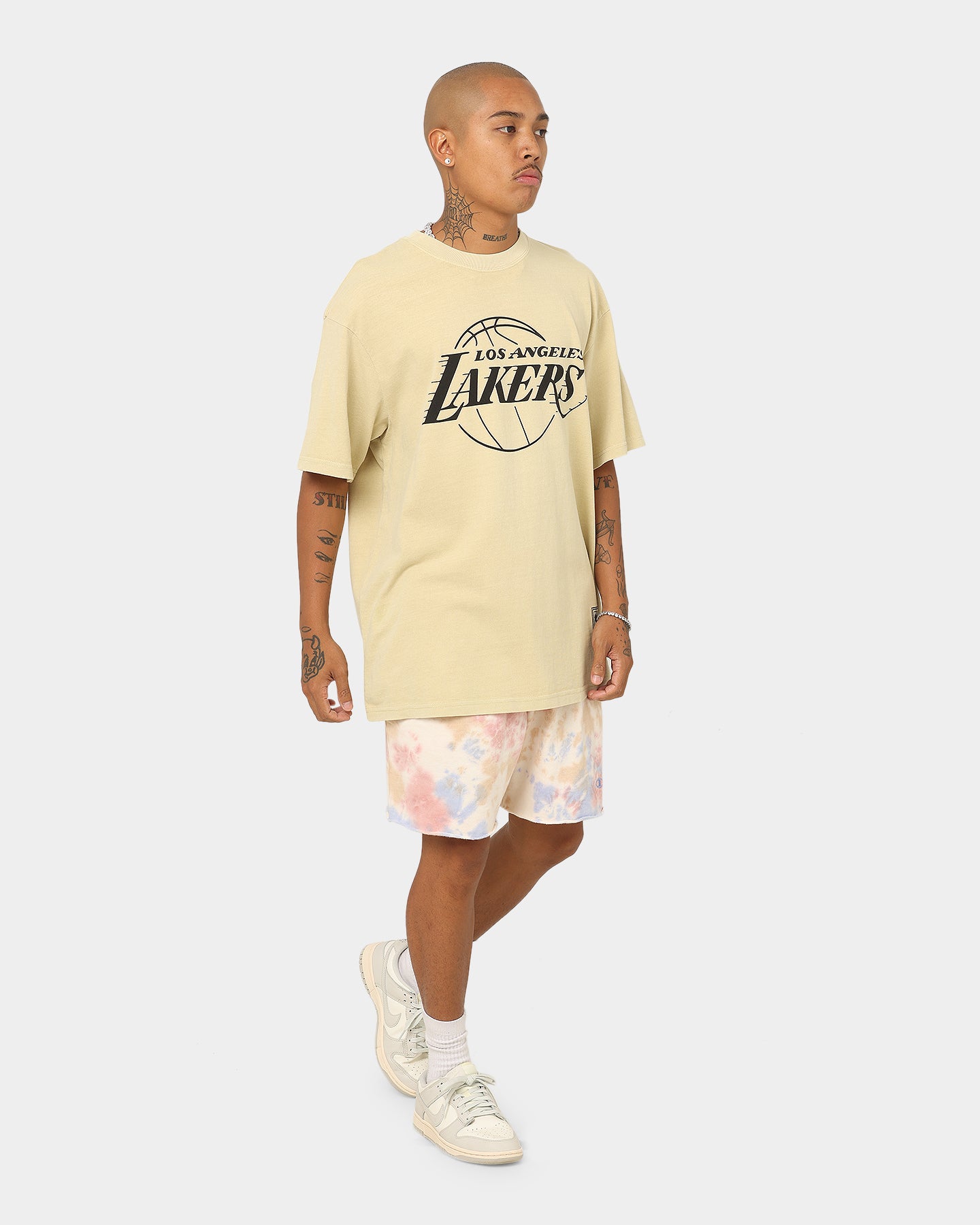 Champion Lightweight Fleece Sun Washed Shorts Pink Beige、mySite、zt4zffjzw