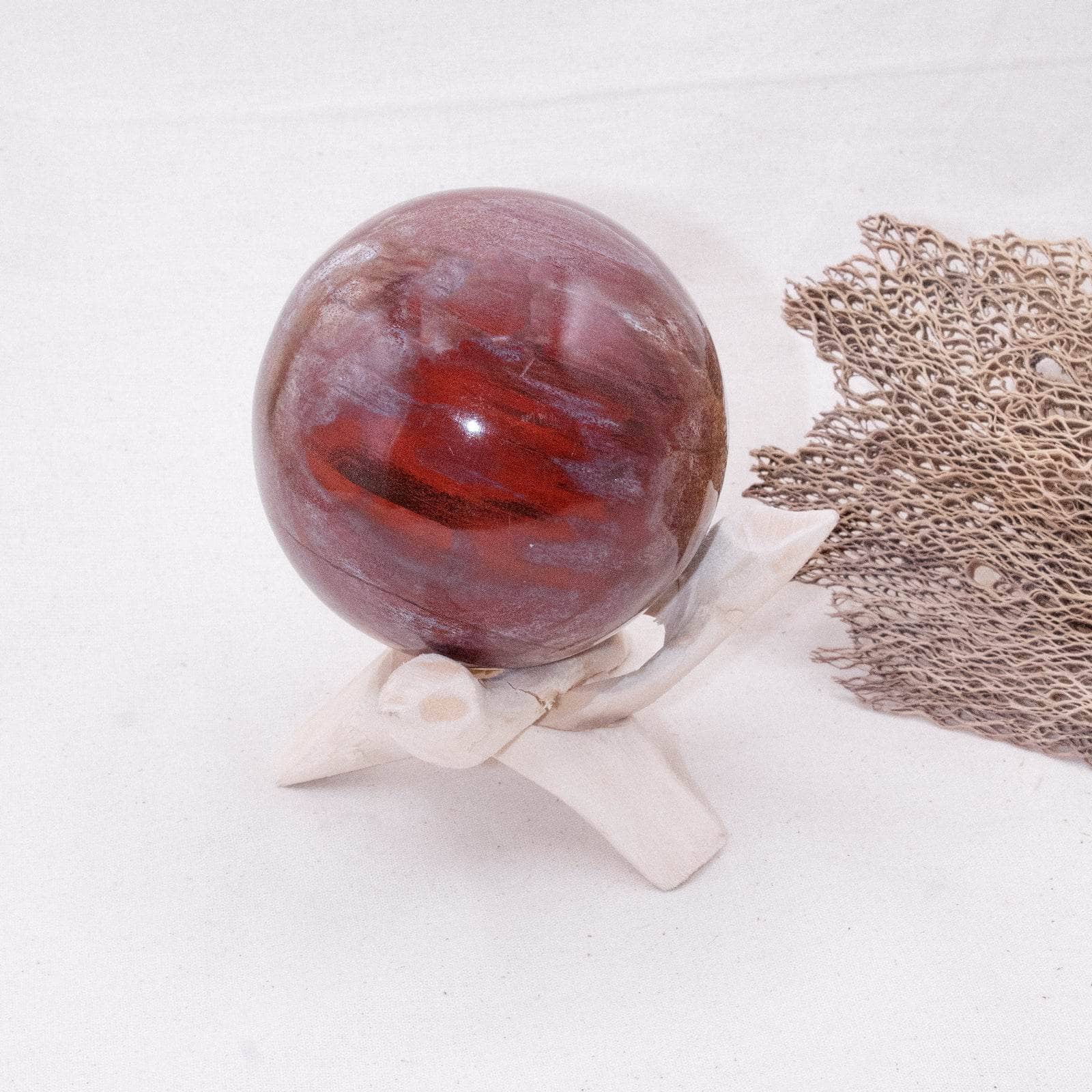 Petrified Wood Sphere - AAA Premium Quality、mySite、hinf8tx79