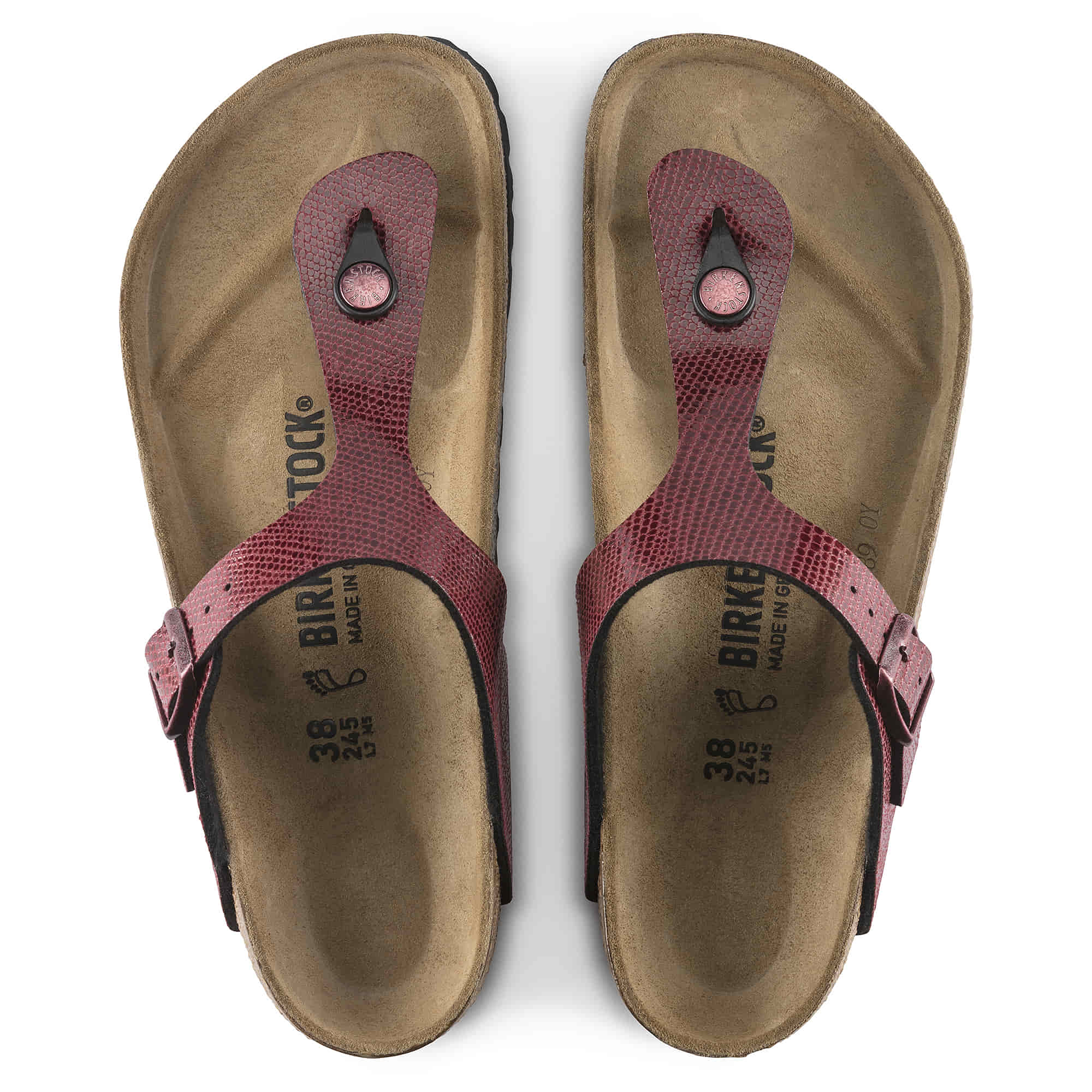 Gizeh Birko-Flor、mySite、gtrtttuynbv