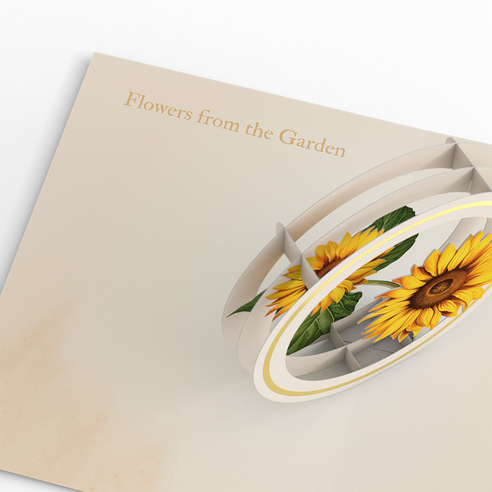 Beautiful Botanicals Box Set (Assorted 12-Pack): Paperpop® Card、mySite、solidvoid