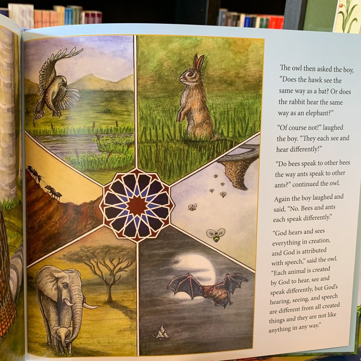 Boy and the Owl、mySite、topwebapps