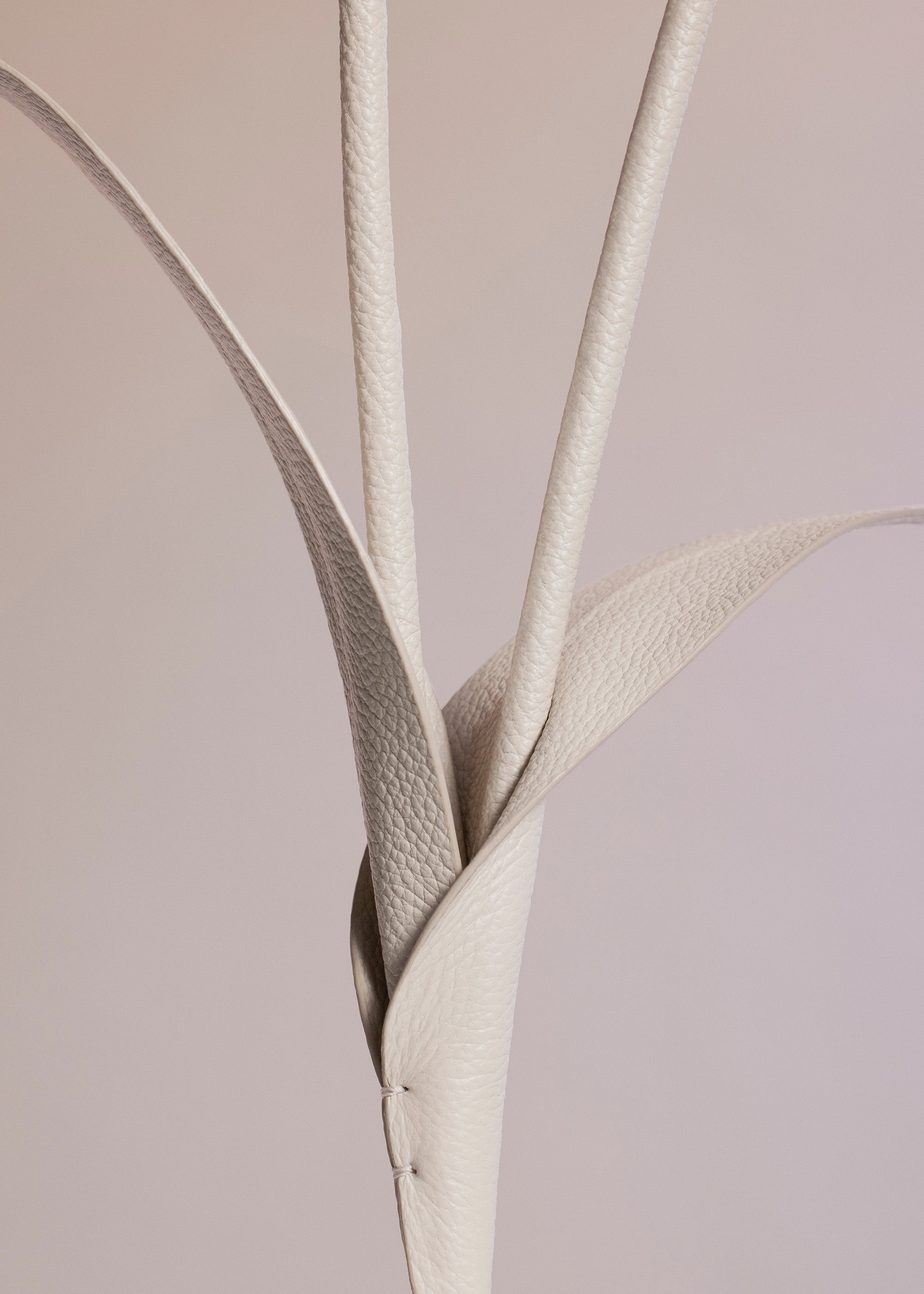 Fleur Touka - Trio Craie Grain茅、mySite、camillekostekn