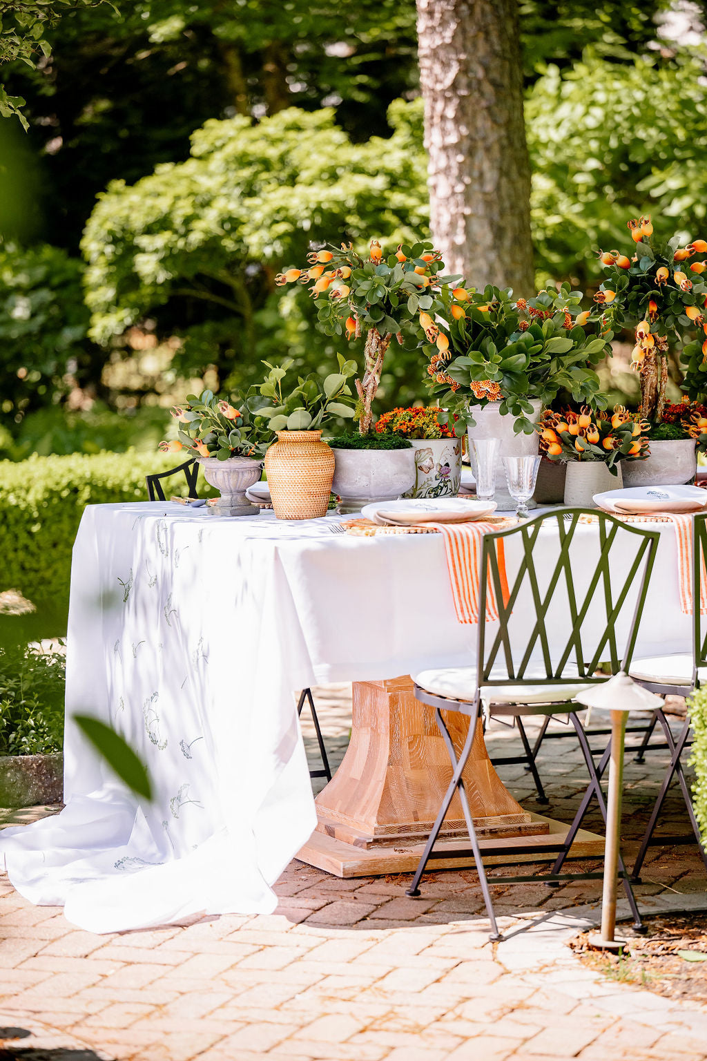  DH Orange Pomegranate in Stone Pot、mySite、elrpsem3k