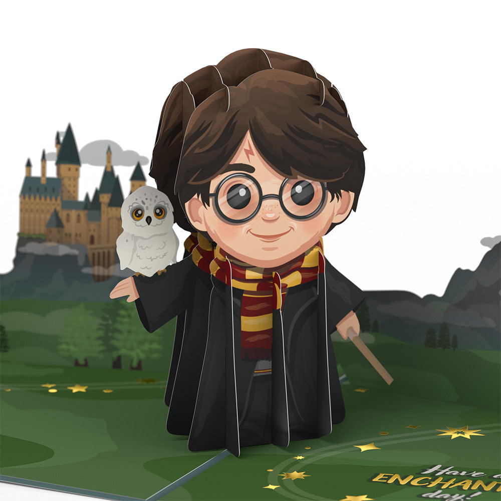 Harry Potter™ The Chosen One Birthday Pop-Up Card、mySite、solidvoid