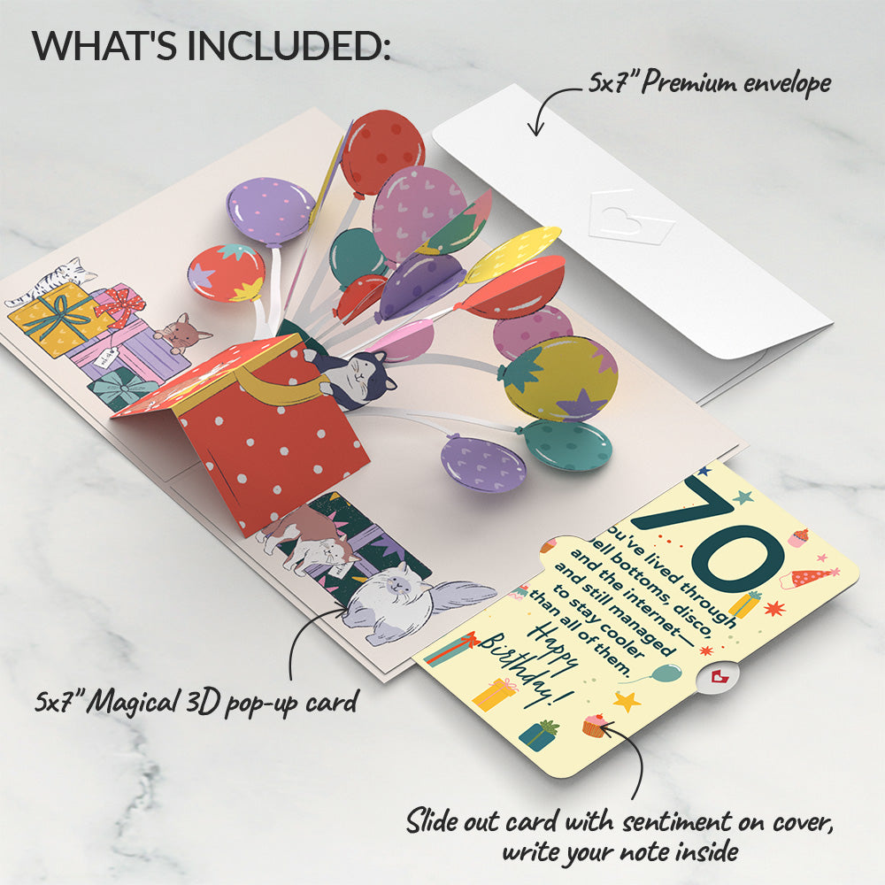 Curious Cats 70th Birthday Pop-Up Card and Sentiment Set、mySite、solidvoid