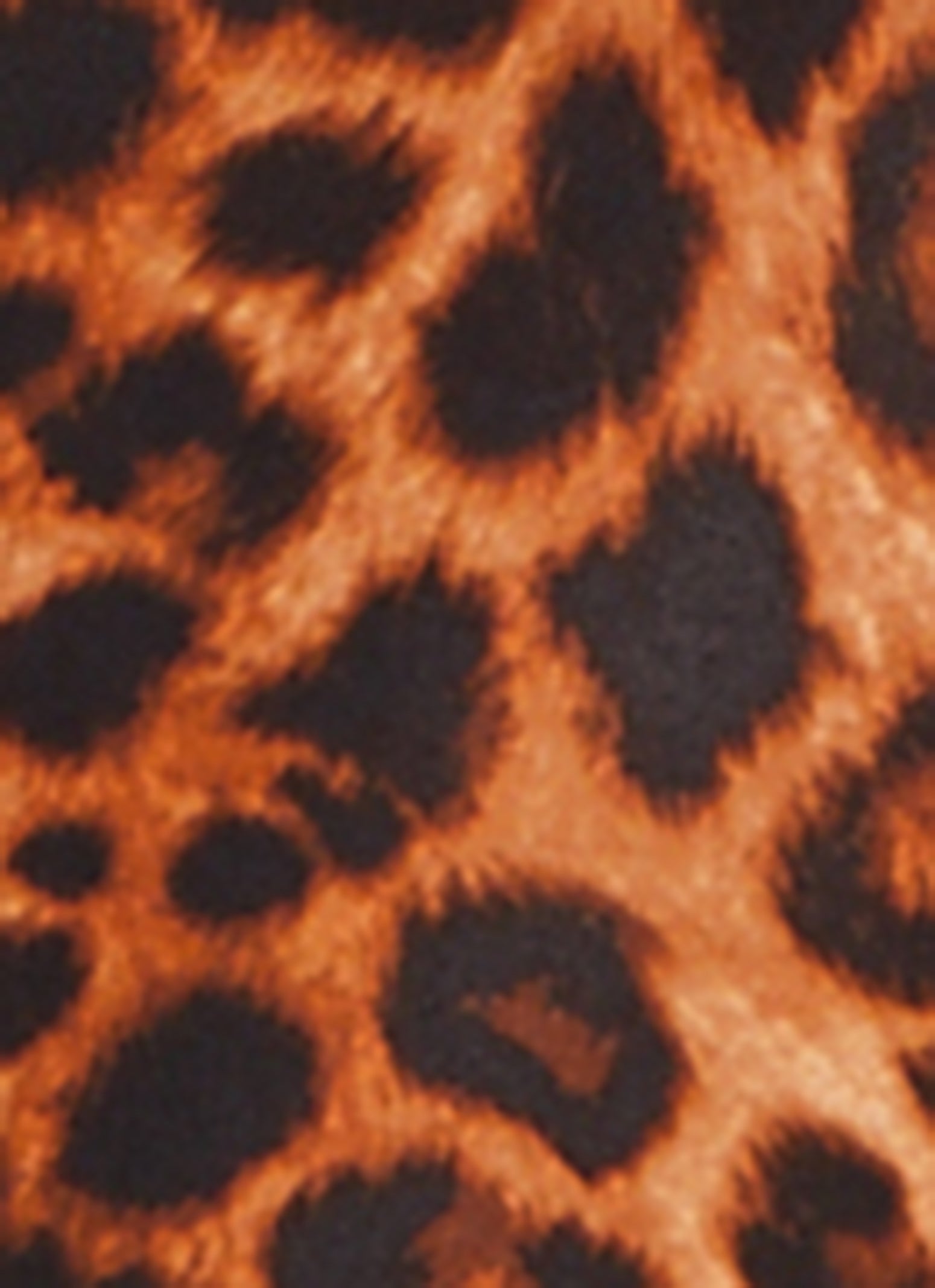 Animal Print High Waist Pencil Skirt、mySite、camillekostekn