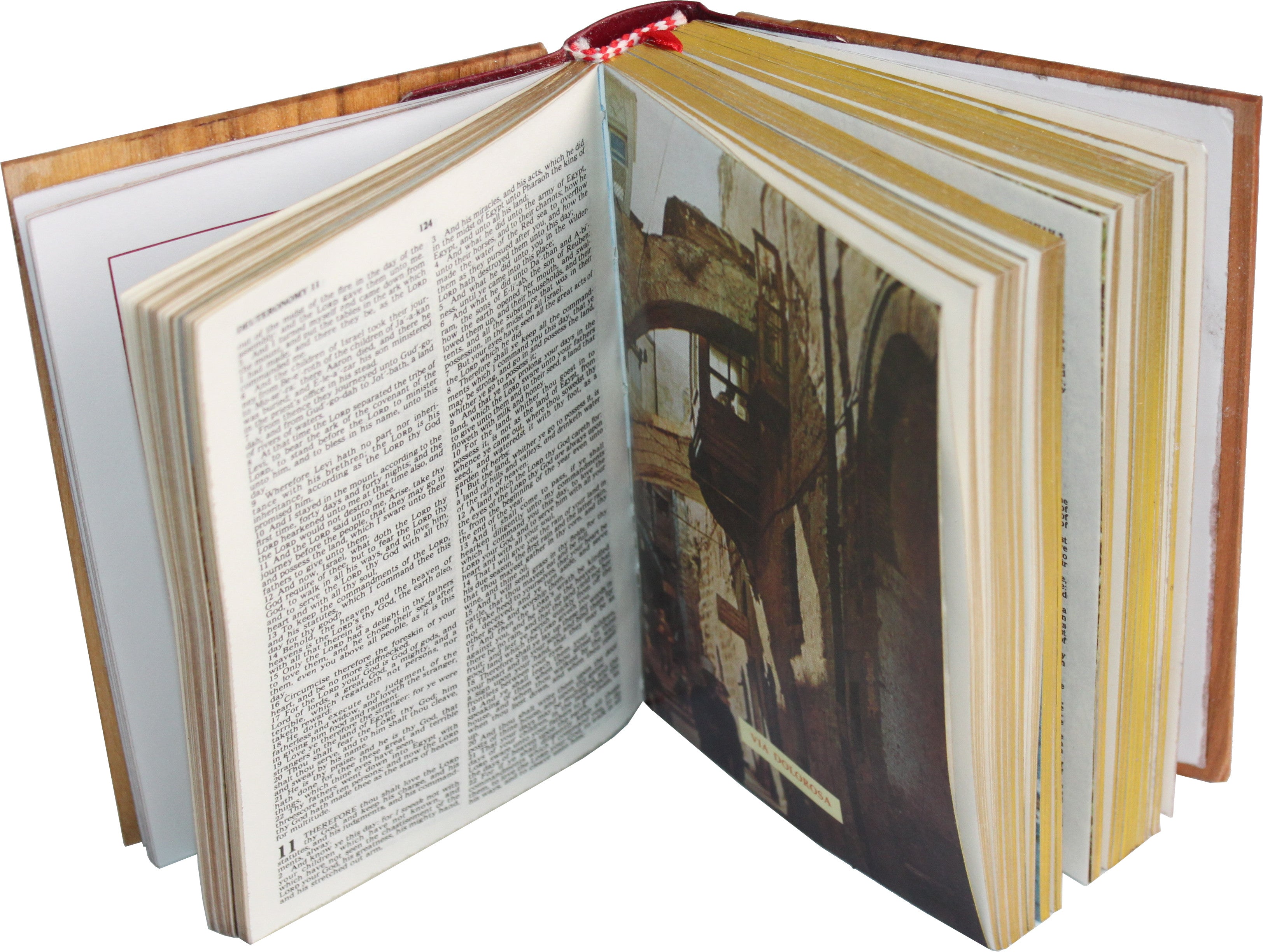 Jerusalem Bible, Olive Wood Cover carved with the Lord`s Prayer (English, 1094 pages)、mySite、topwebapps