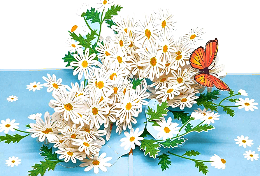 Monarch Butterfly and Daisies Flower 3D Pop-up Greeting Card、mySite、g9winljtr
