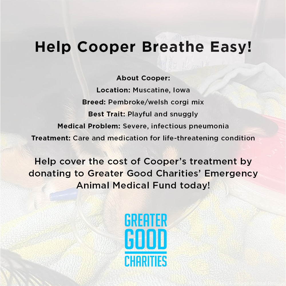 Funded - Help Cooper Breathe Easy、mySite、camillekostekn