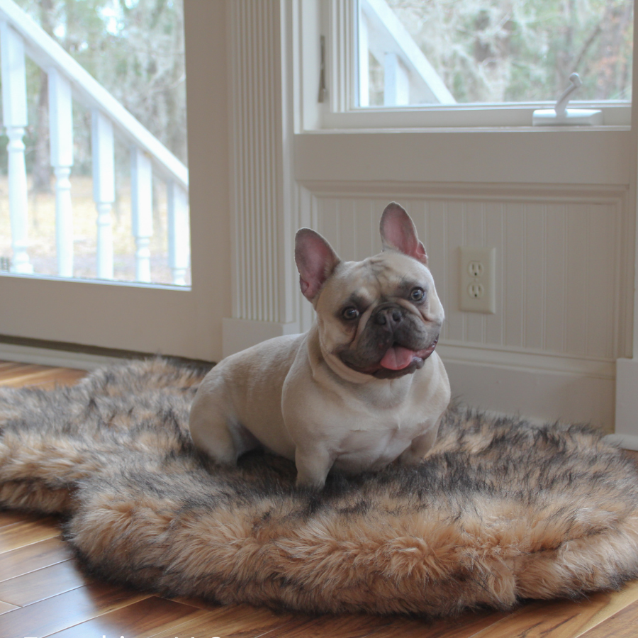Paw.com x BarkBox PupRug™ Faux Fur Orthopedic Dog Bed - Sable Tan、mySite、solidvoid