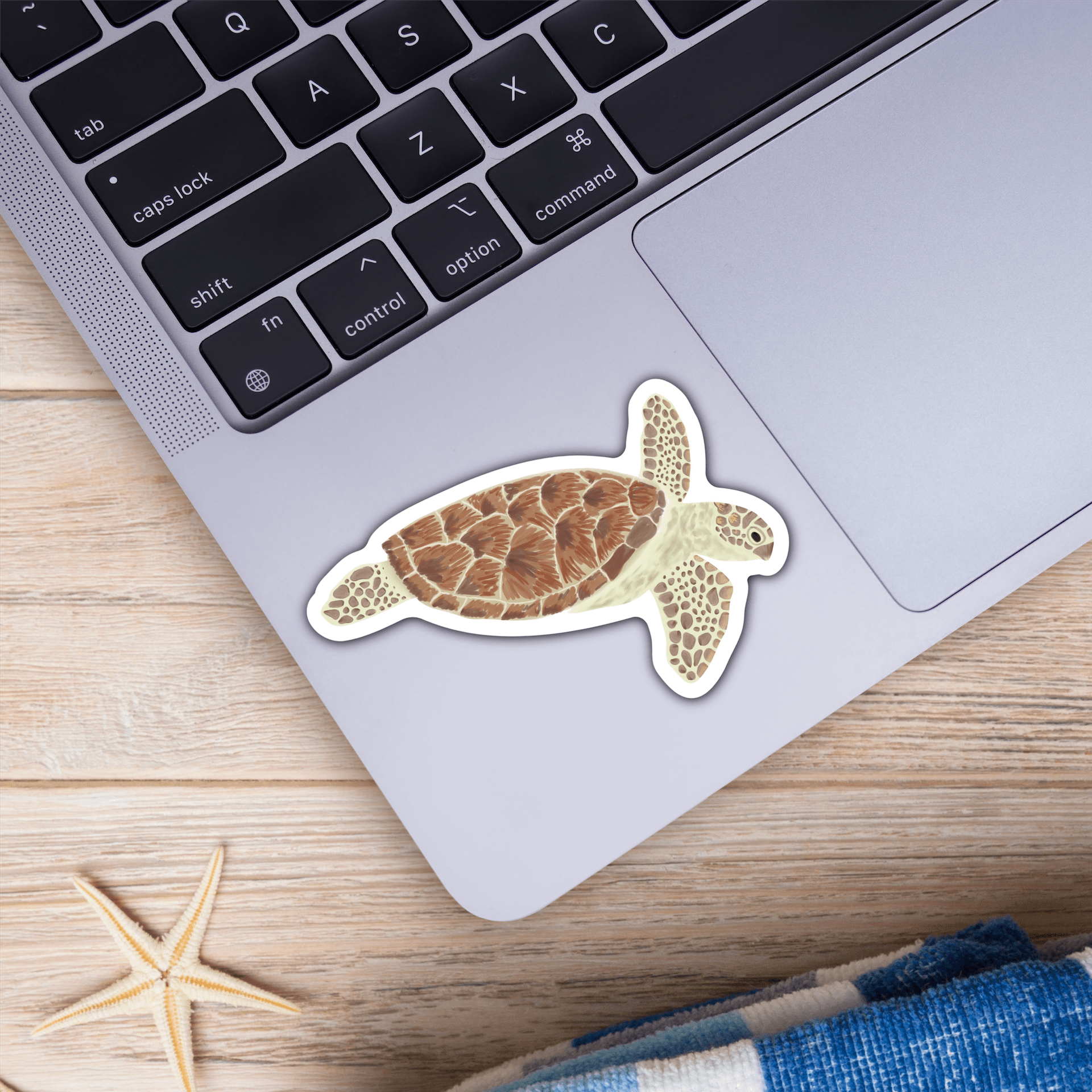  Green Sea Turtle Sticker、mySite、ghnorth