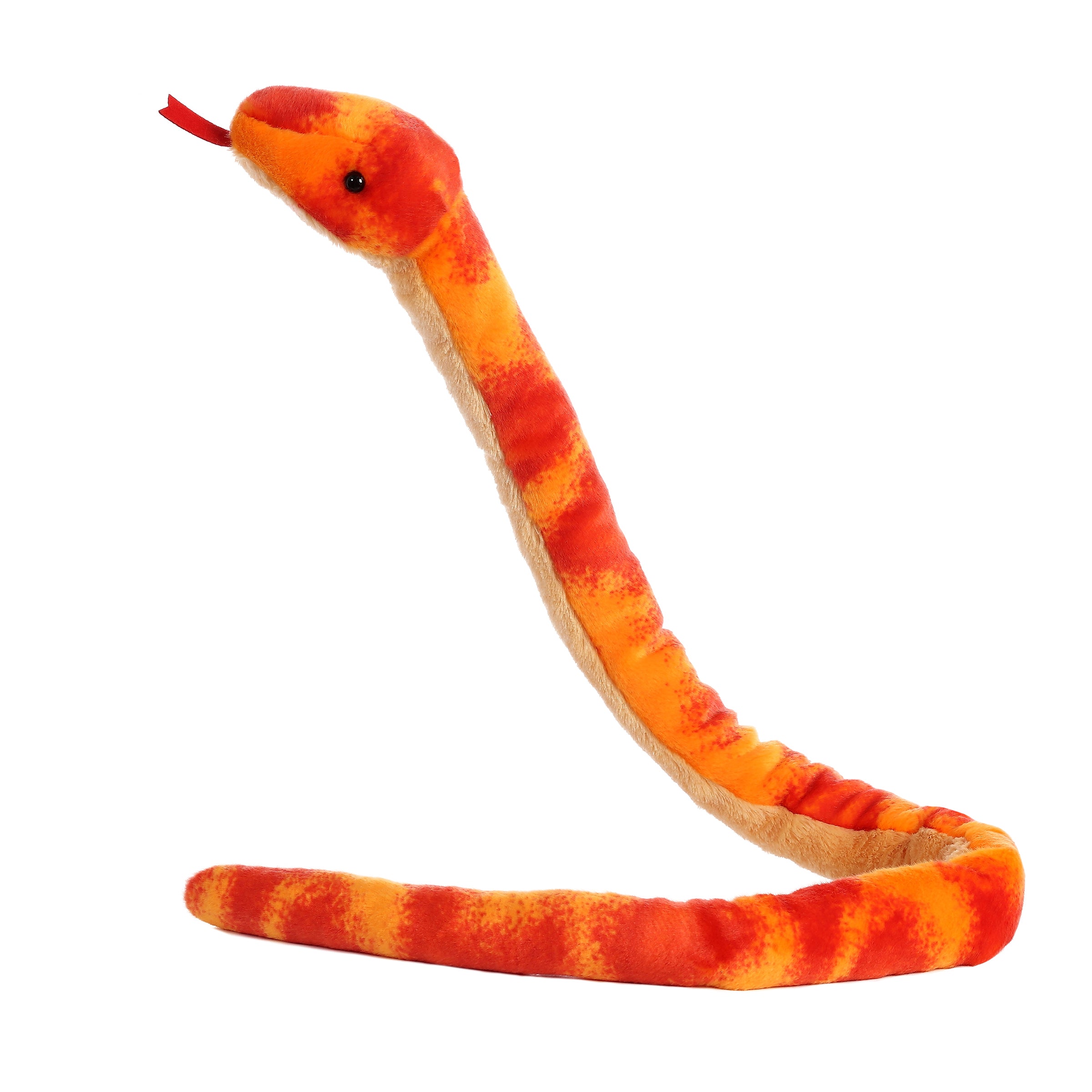 Aurora® - Snake - 50 Corn Snake、mySite、g9winljtr