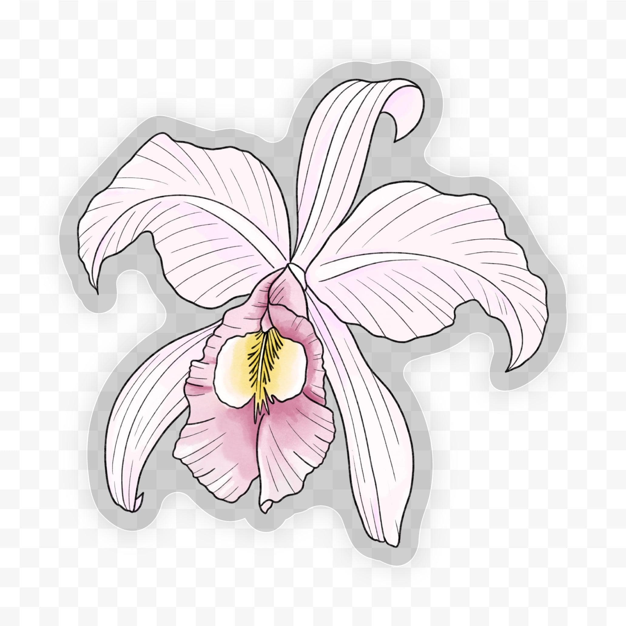  Flor de Mayo - Botanical Clear Sticker、mySite、elrpsem3k