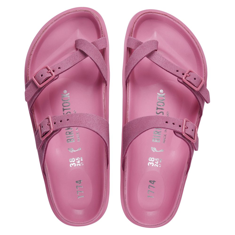 1774 III Mayari、mySite、gtrtttuynbv