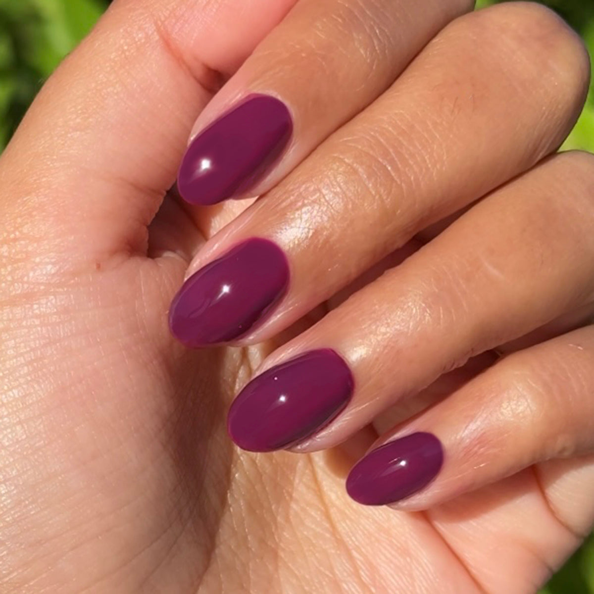 Plaza - Gel、mySite、solidvoid