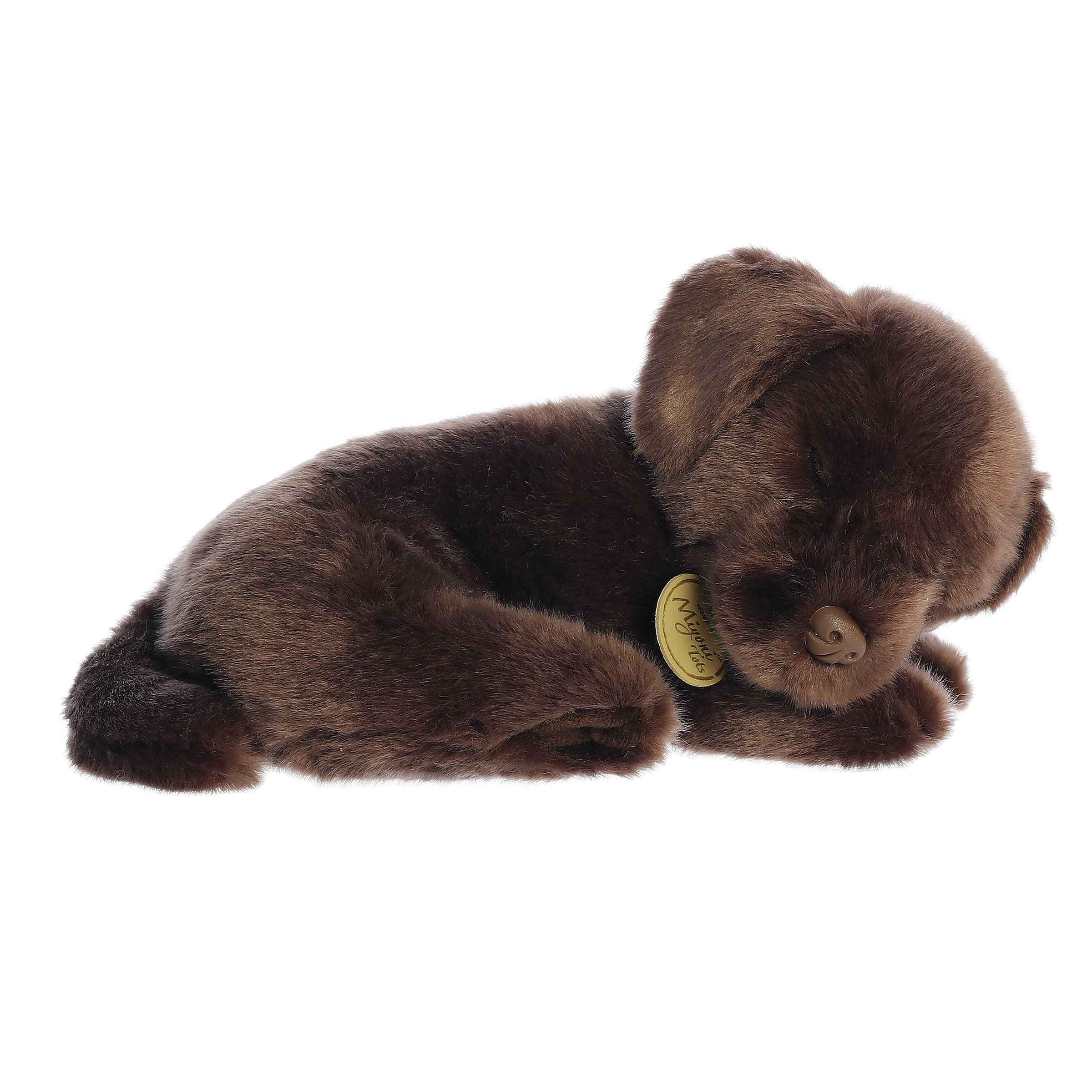 Aurora® - Miyoni® Tots - 10 Sleepy Chocolate Lab Pup、mySite、g9winljtr