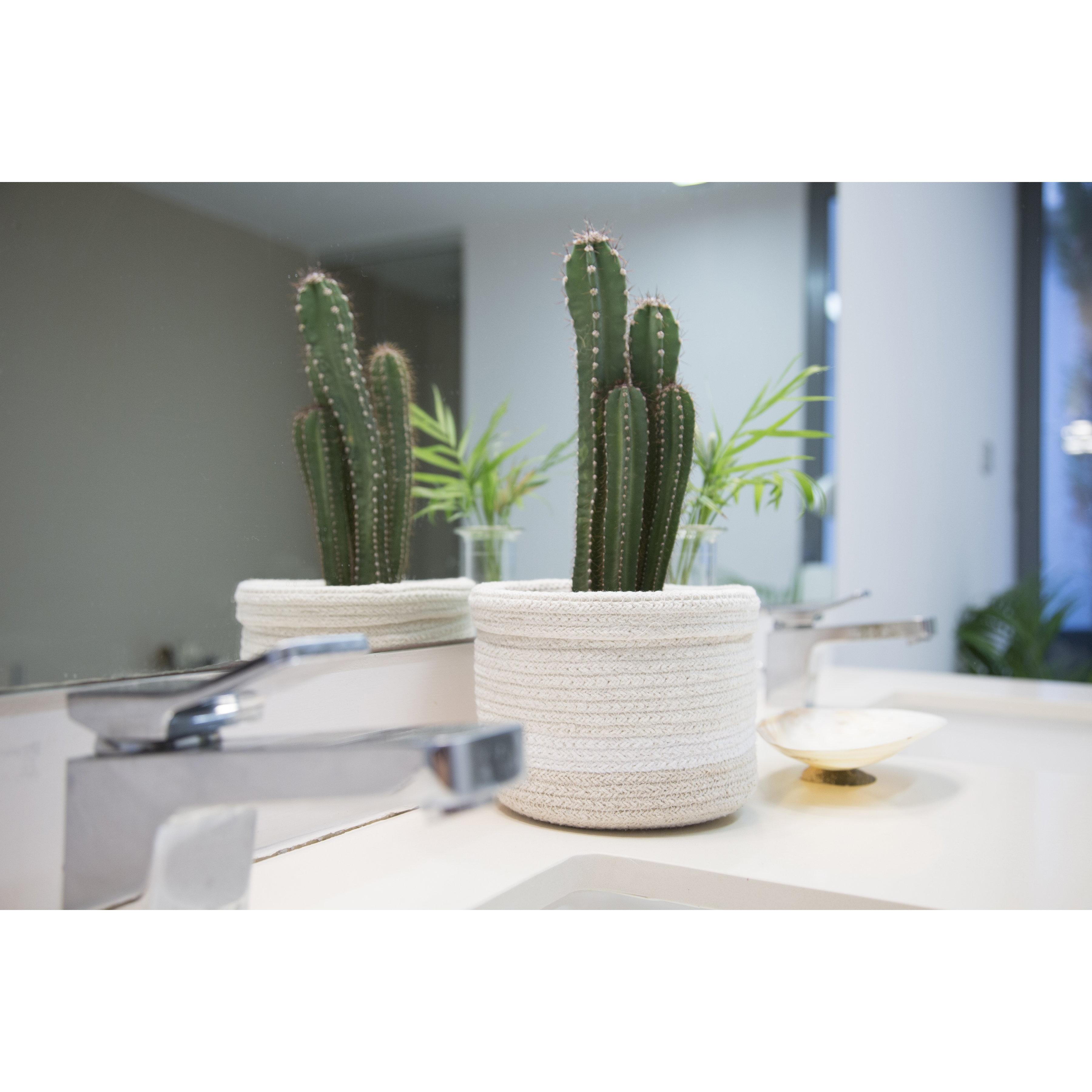 Mini Tricolor Ivory Basket、mySite、gigharbornorthrealestate