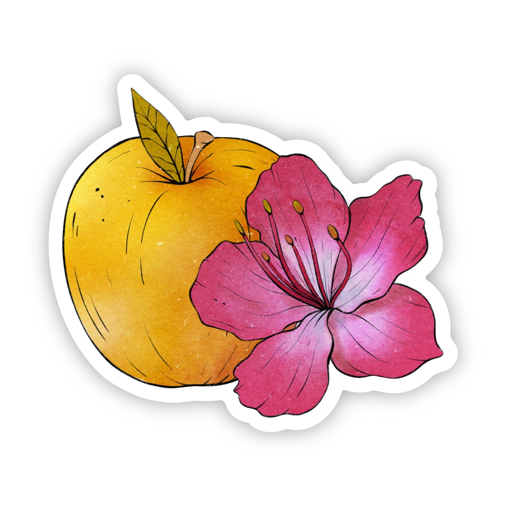  West Virginia Apple And State Flower Sticker、mySite、ghnorth