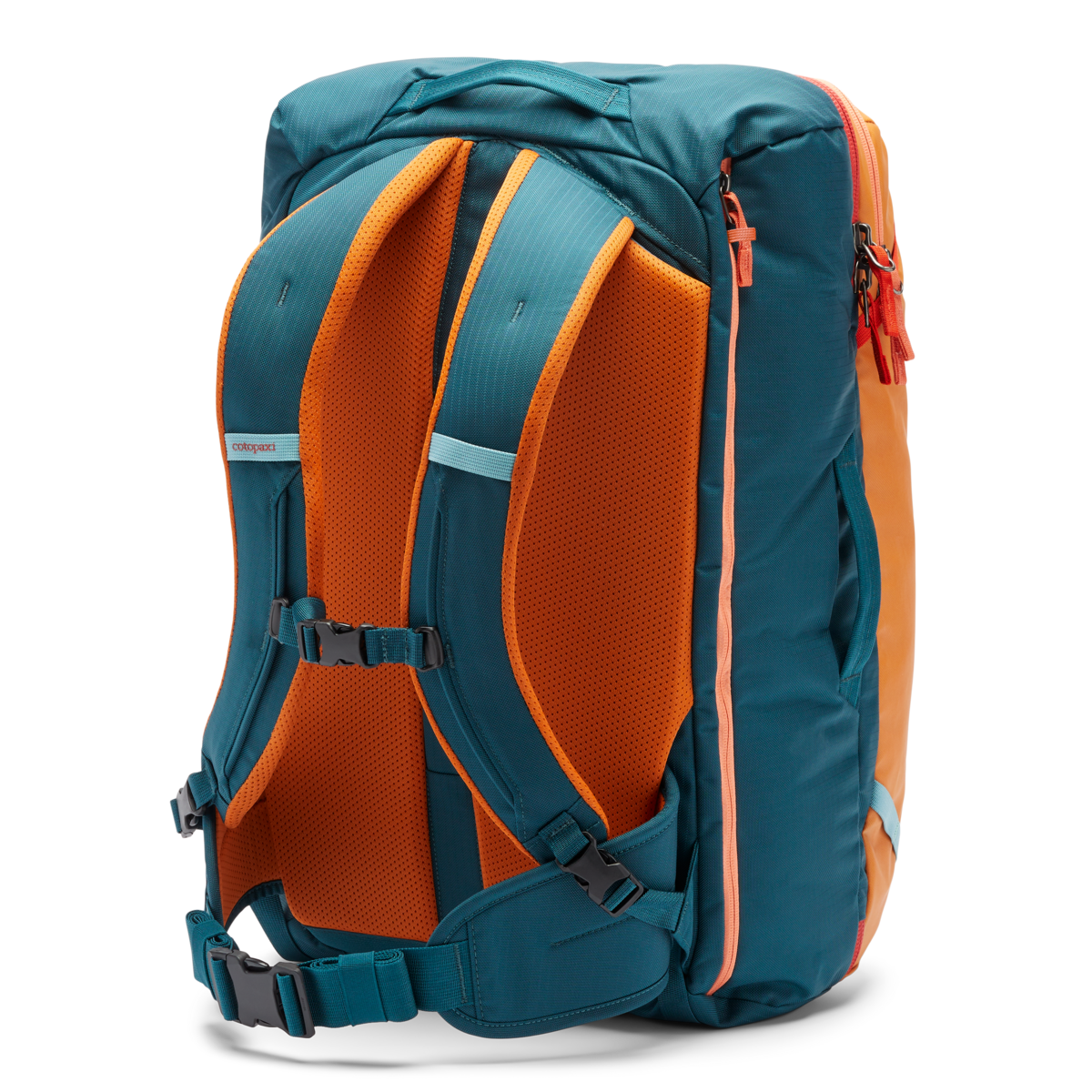 Allpa 42L Travel Pack、mySite、shAllpa 42L Travel Pack、mySite、glenpowelloop_name