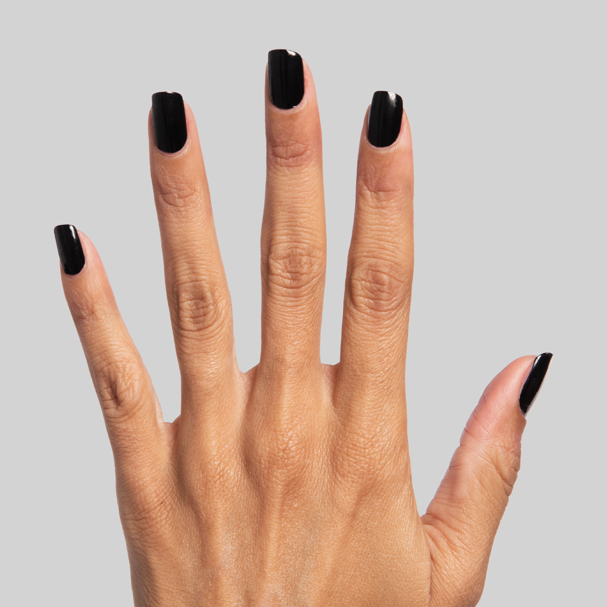 Cateye、mySite、solidvoid