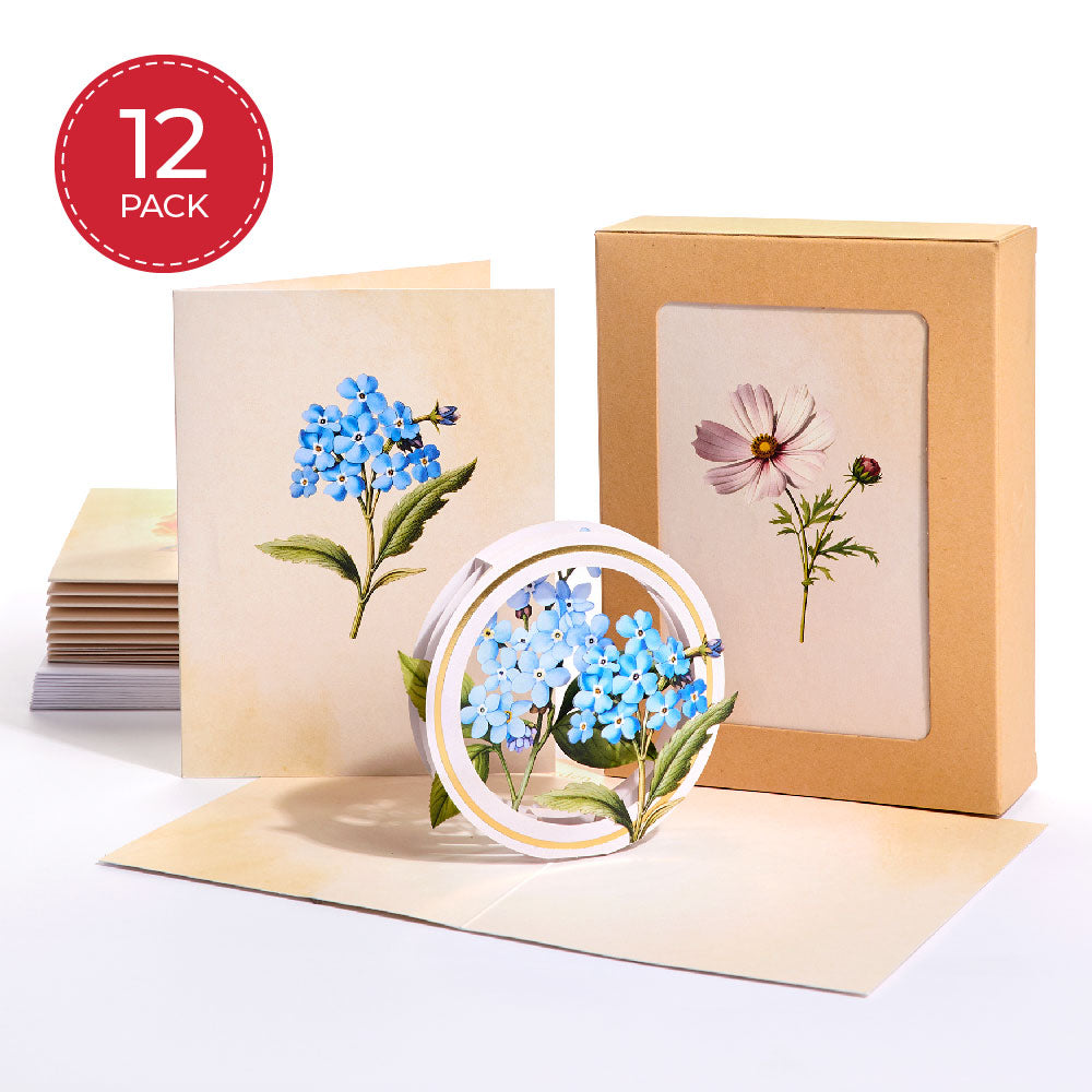 Beautiful Botanicals Box Set (Assorted 12-Pack): Paperpop® Card、mySite、solidvoid
