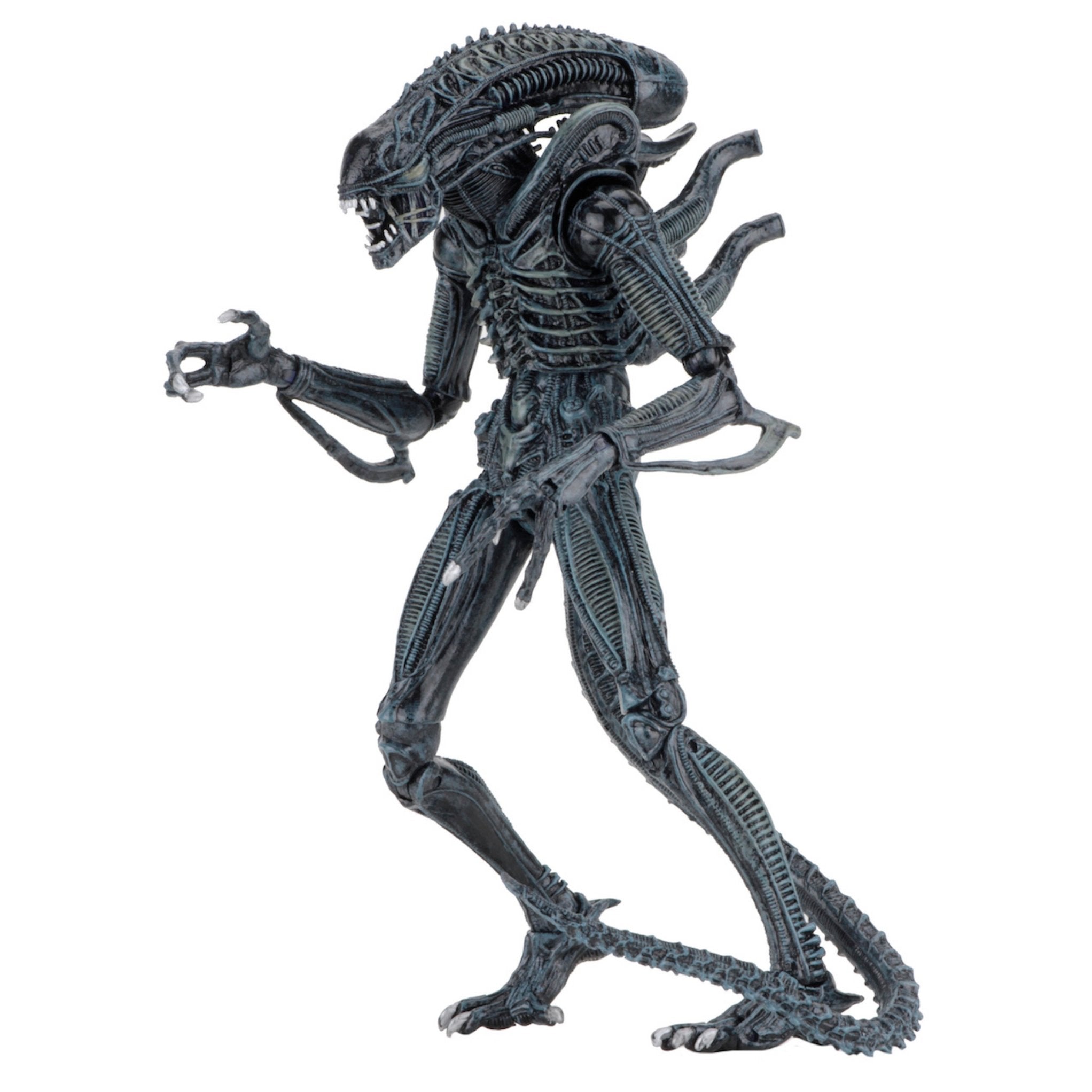 NECA Ultimate Aliens Warrior (Blue)、mySite、hgirdovlk
