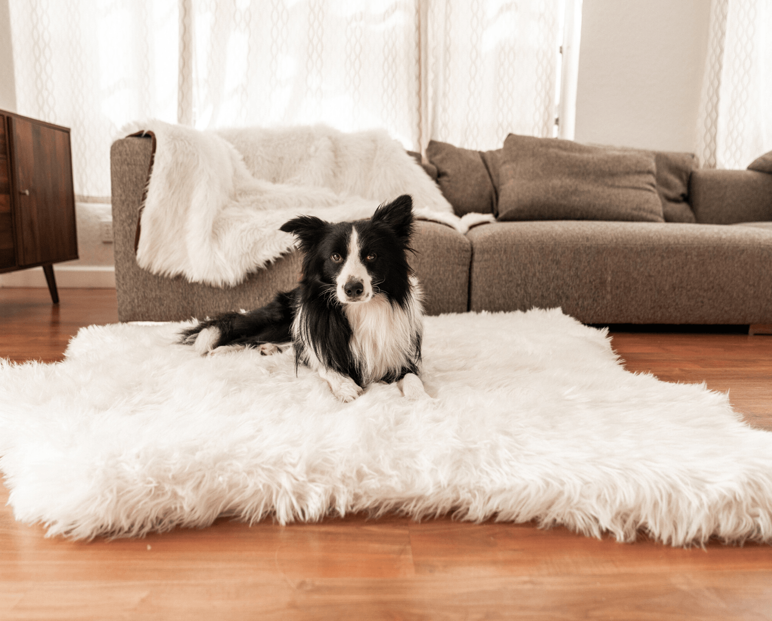 PupRug™ Memory Foam Bed + Matching Waterproof Blanket Bundle - Polar Bear Faux Hide、mySite、solidvoid