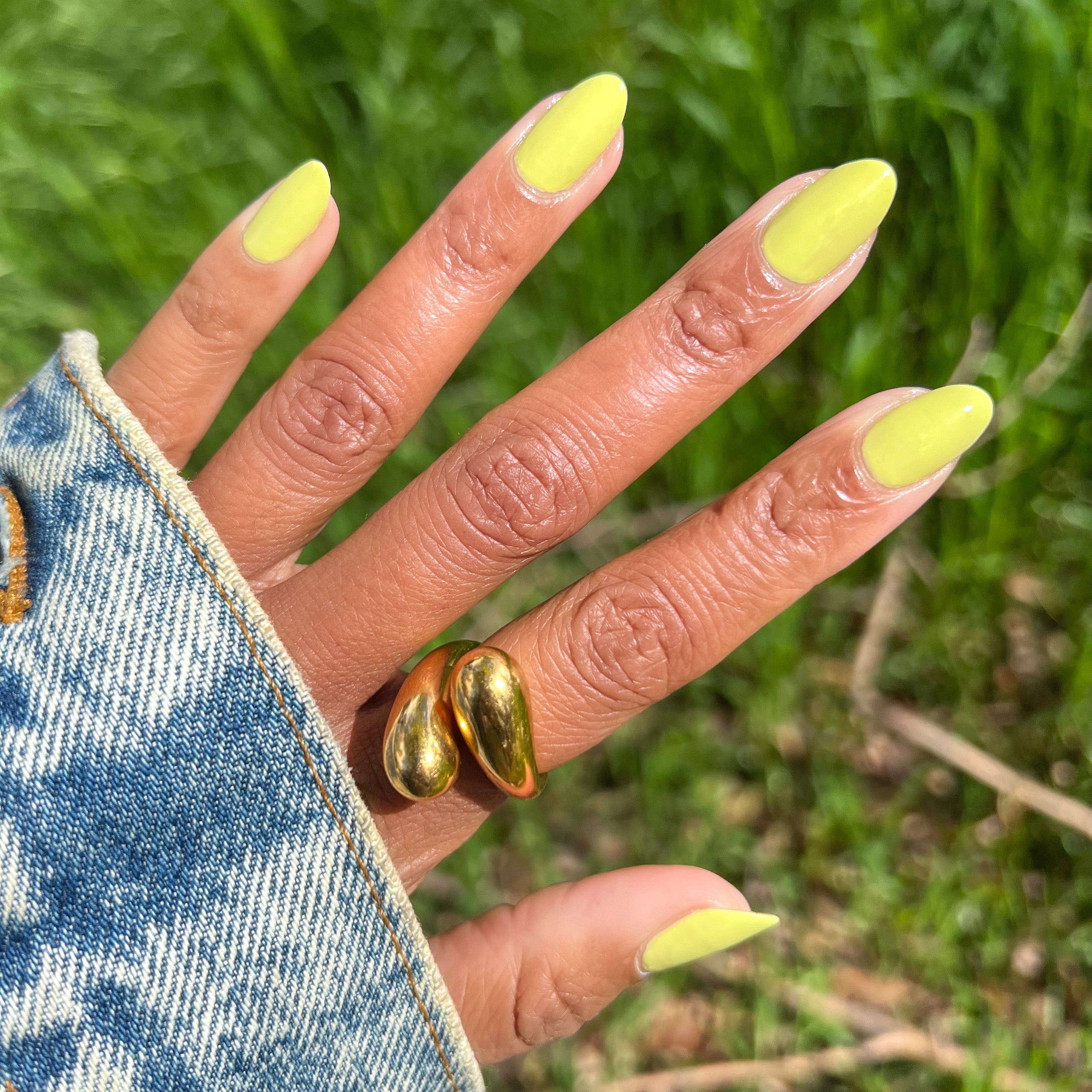 Not Kale、mySite、solidvoid