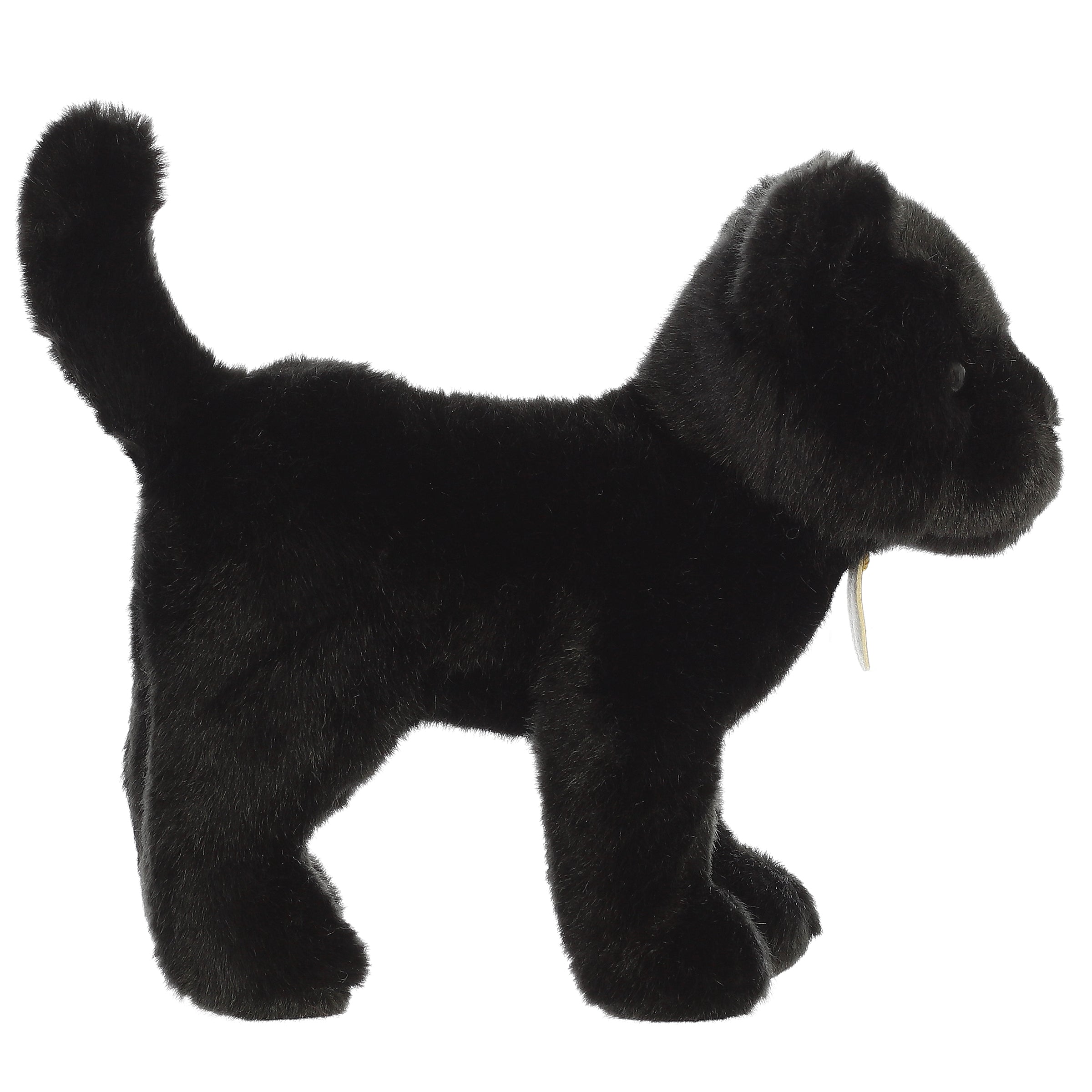 Aurora® - Miyoni® - 10 Panther、mySite、g9winljtr