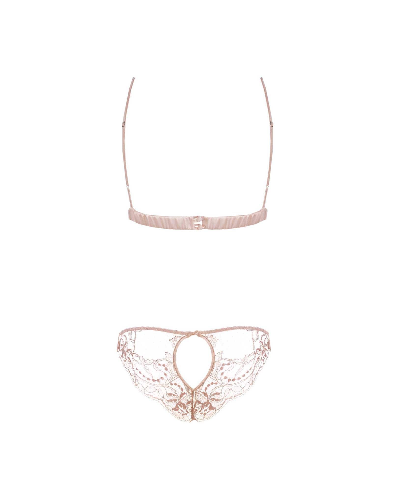  Signature Blush Lace Boudoir Bra & Ouvert Brief、mySite、justintrudeaud