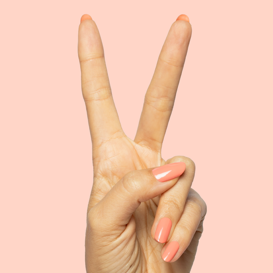 Frolic、mySite、solidvoid